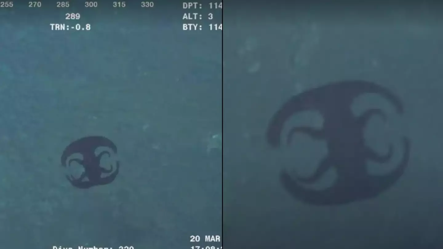 Bizarre 'alien creature' transforms into completely new beast 3,700ft underwater