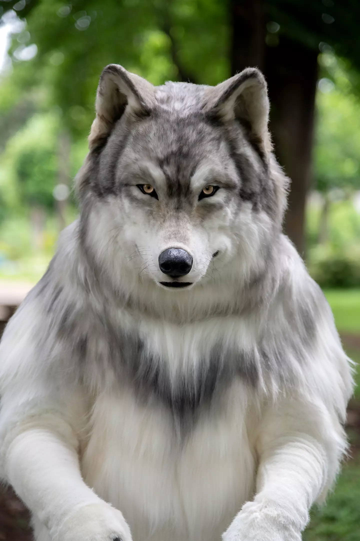 The customer said it was his dream to look like a wolf.