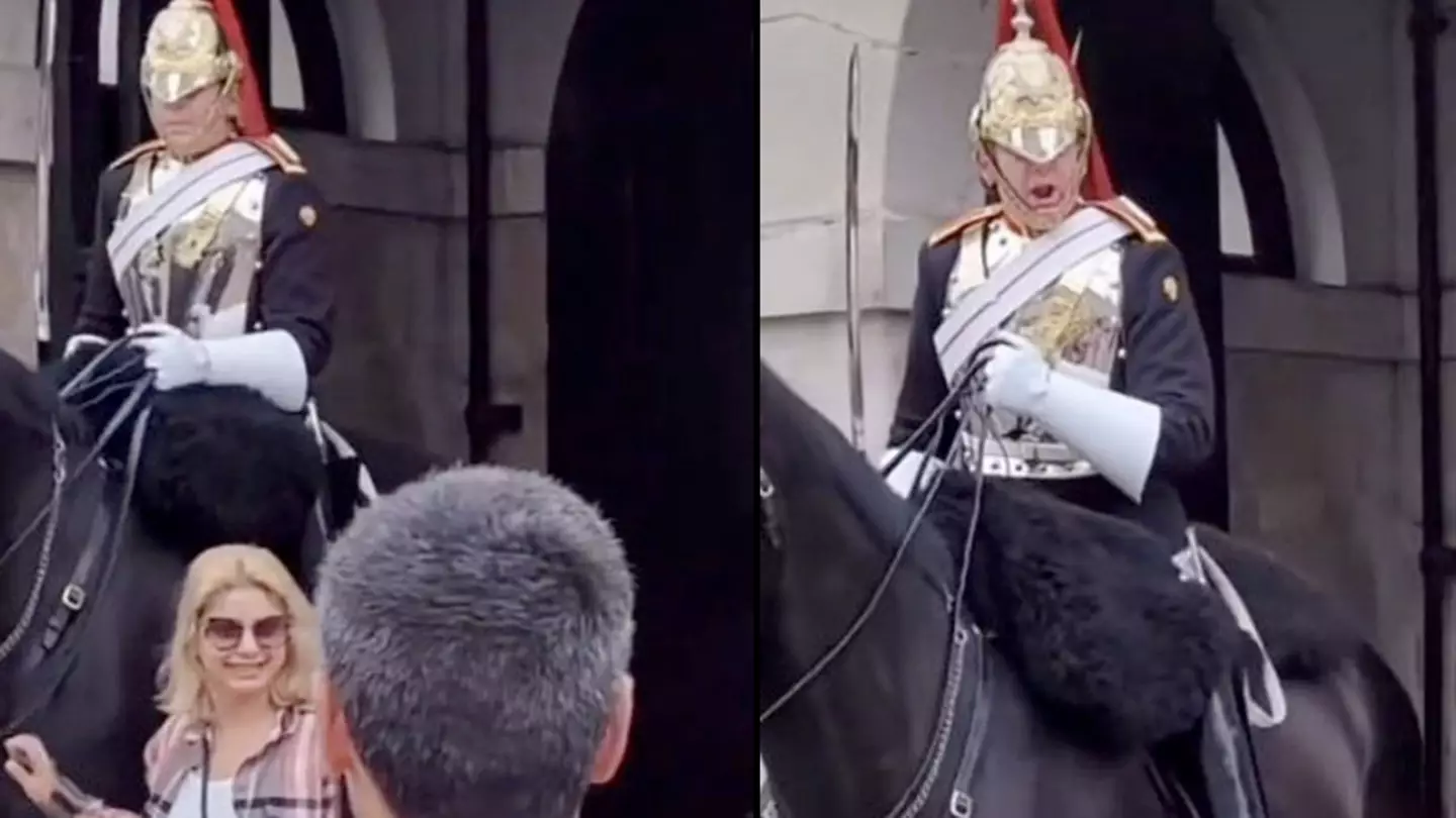 Tourist Screamed At By Queen's Guard After She Touches His Horse