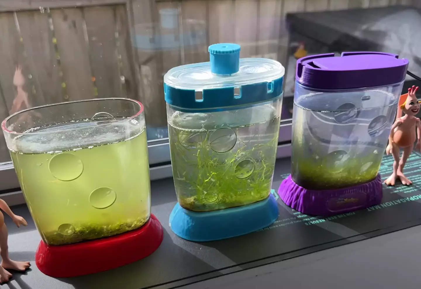 Aww, look at the Sea Monkeys. (YouTube/Picocosmos)