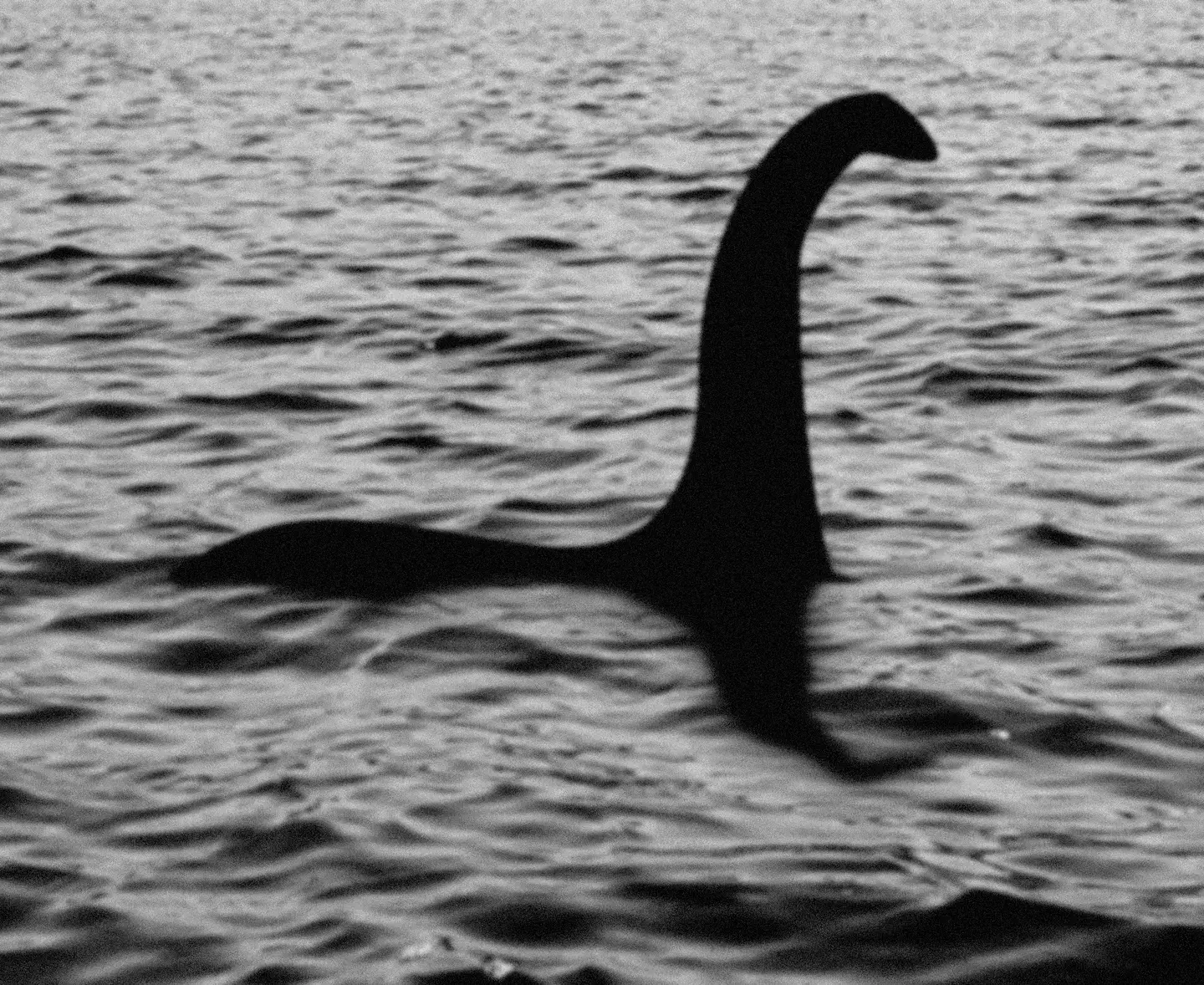 A strange phenomenon might be to blame for all the supposed Loch Ness Monster sightings (Keystone/Getty Images)