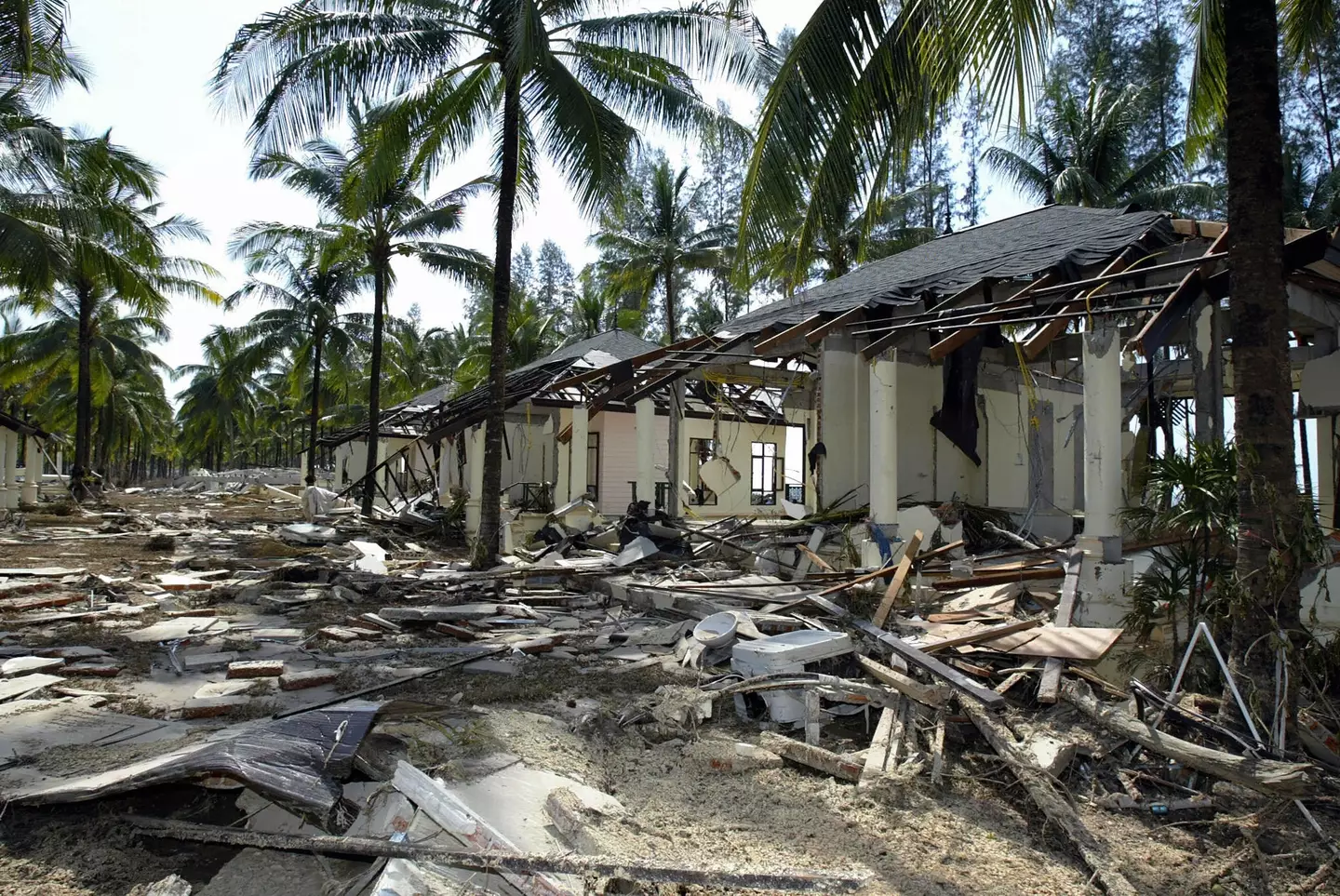 The tsunami became the deadliest natural disaster of the 21st Century, taking over 220,000 lives (SAEED KHAN/AFP via Getty Images)