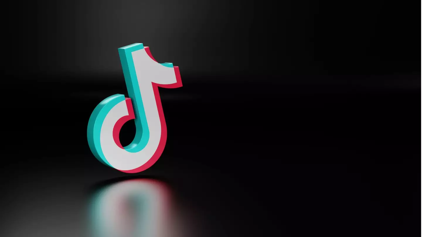 What is the 5 to 9 before 9 to 5 TikTok trend?