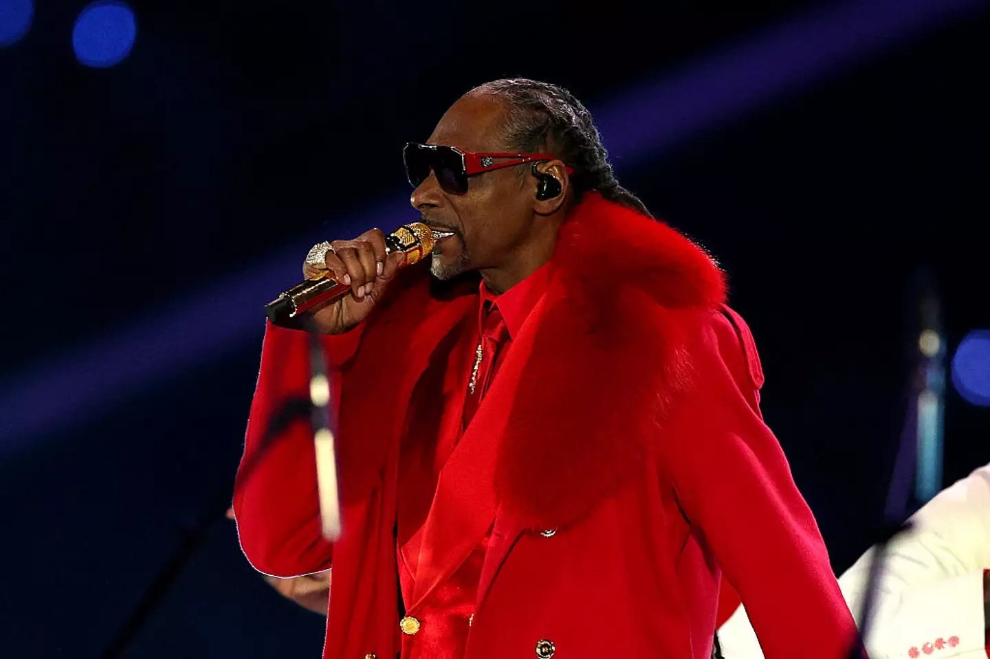 Snoop delivered an iconic performance (David Berding/Getty Images)