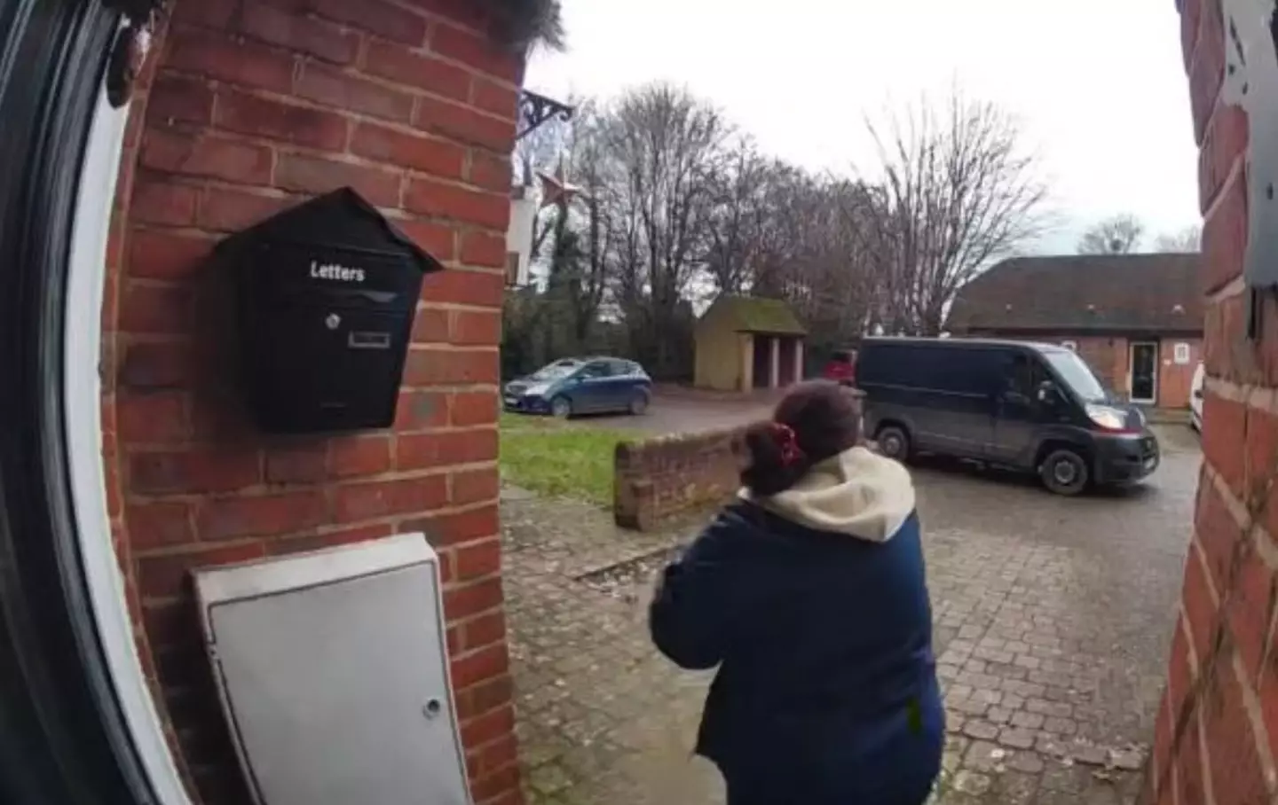 Toni Fryer claims her parcel was swiped by an Evri courier last week (Solent News)