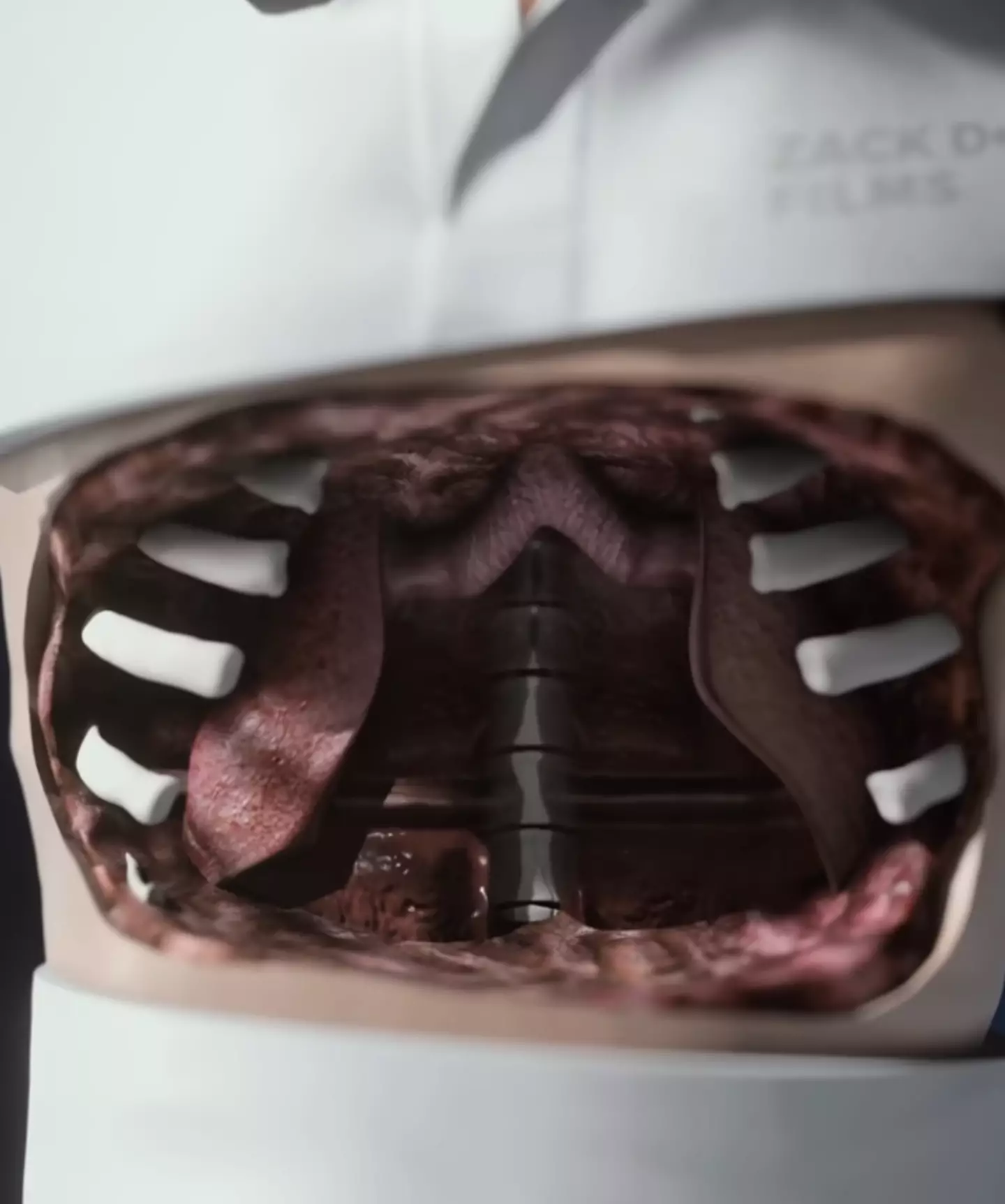 Your lungs would essentially shrivel if exposed to outer space (YouTube/@zackdfilms)