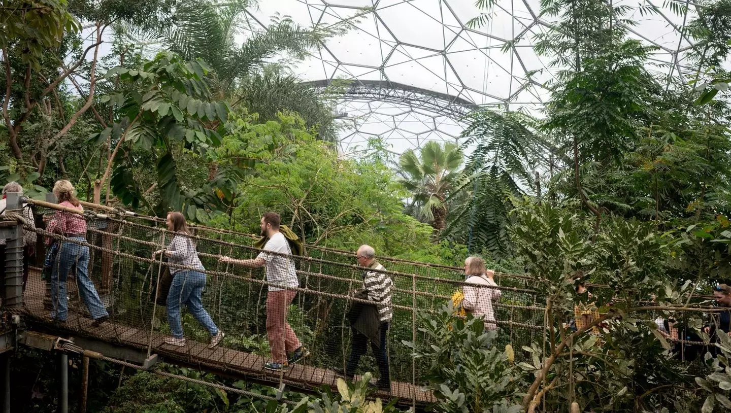 The Eden Project is fun for all the family (Richard Baker / In Pictures via Getty Images)