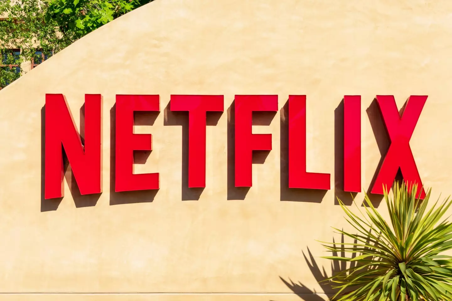 Netflix have been testing schemes to crack down on password sharing and aim to roll out their plans next year.