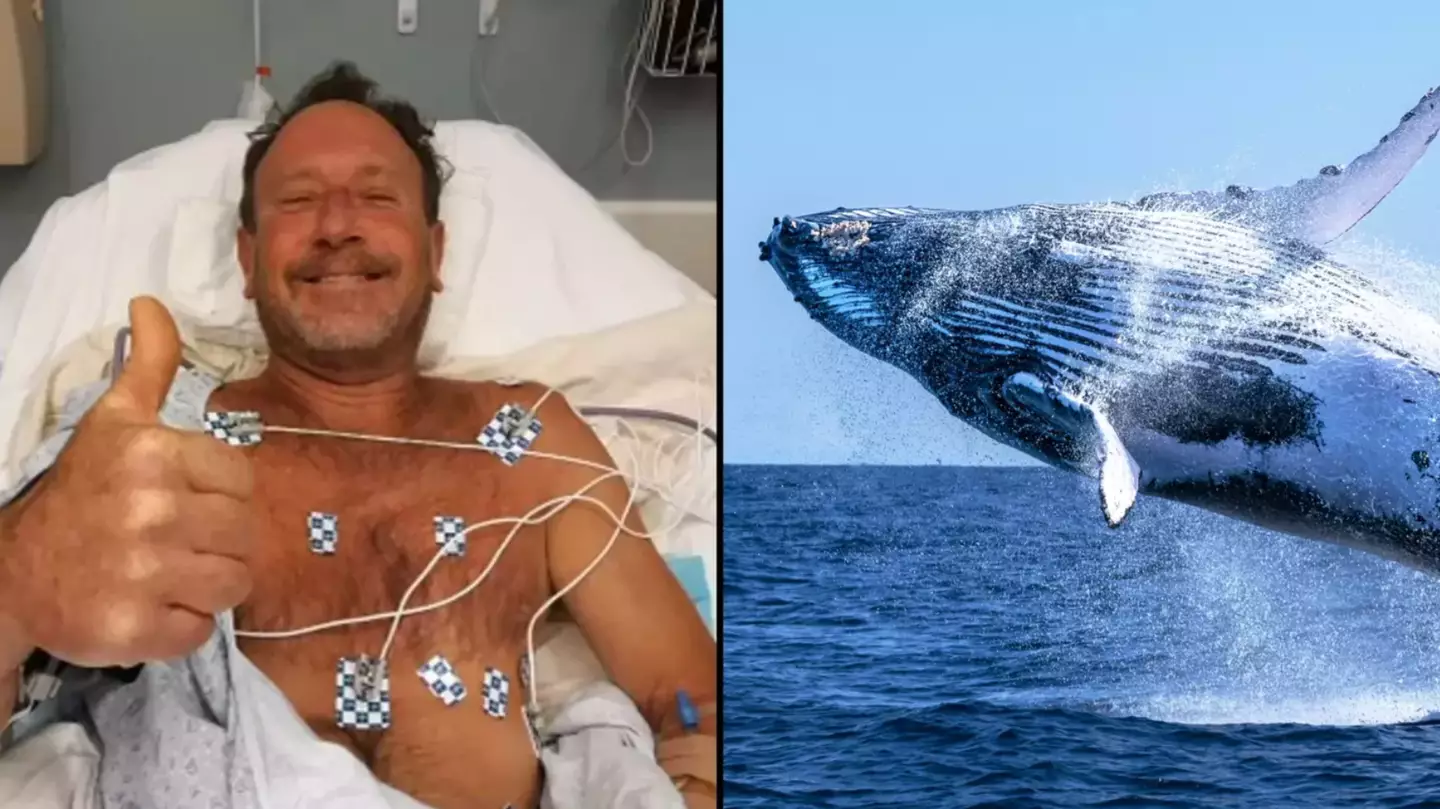 Man who was swallowed alive by whale ended up cheating death after being spared