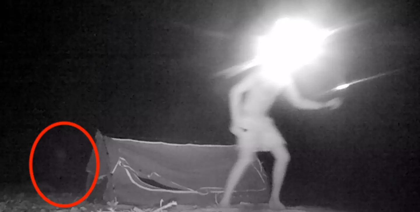 Is it a ghost? (YouTube/Back 2 Basics Adventures)