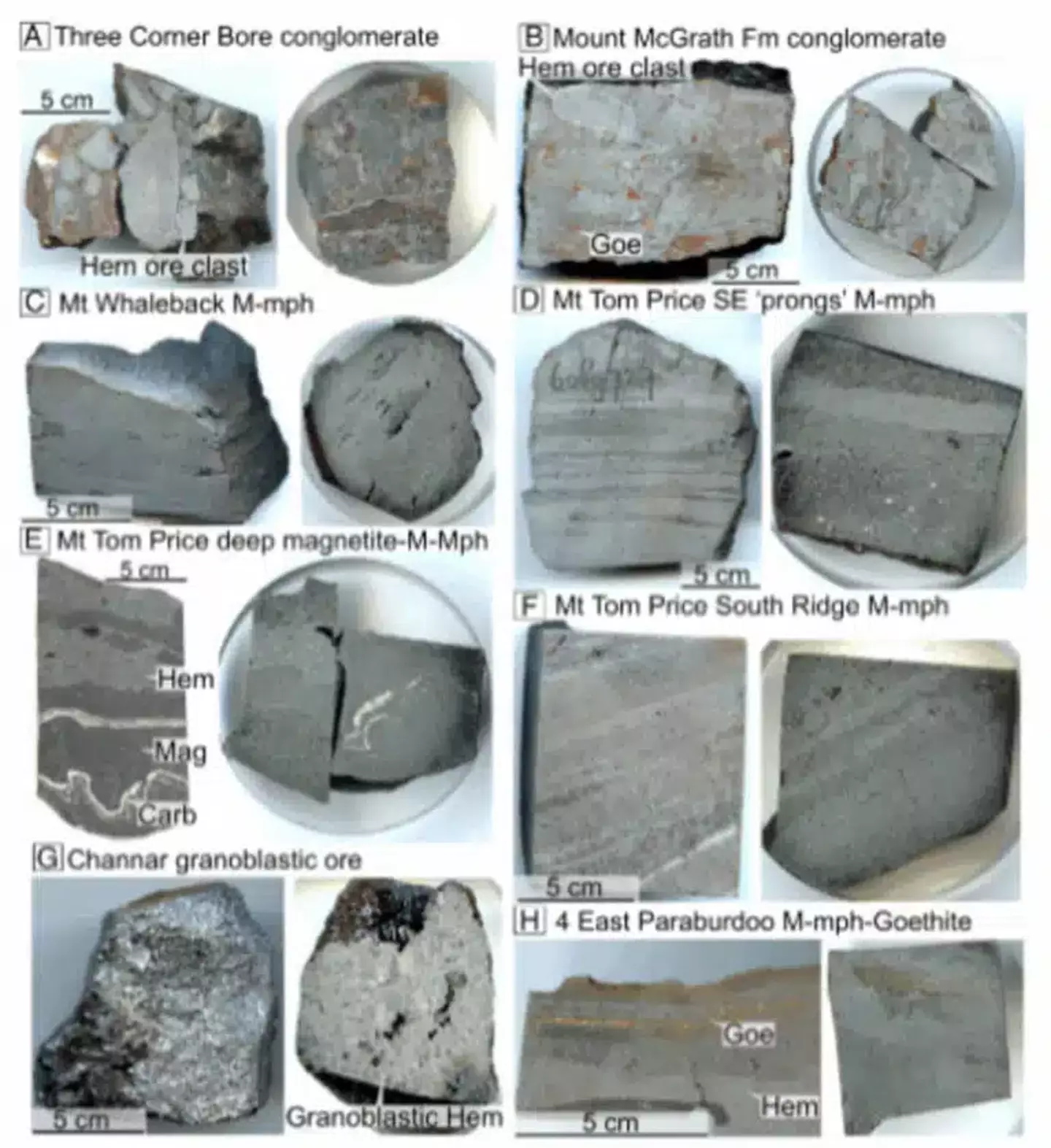The findings are seismic (Proceedings of the National Academy of Sciences)
