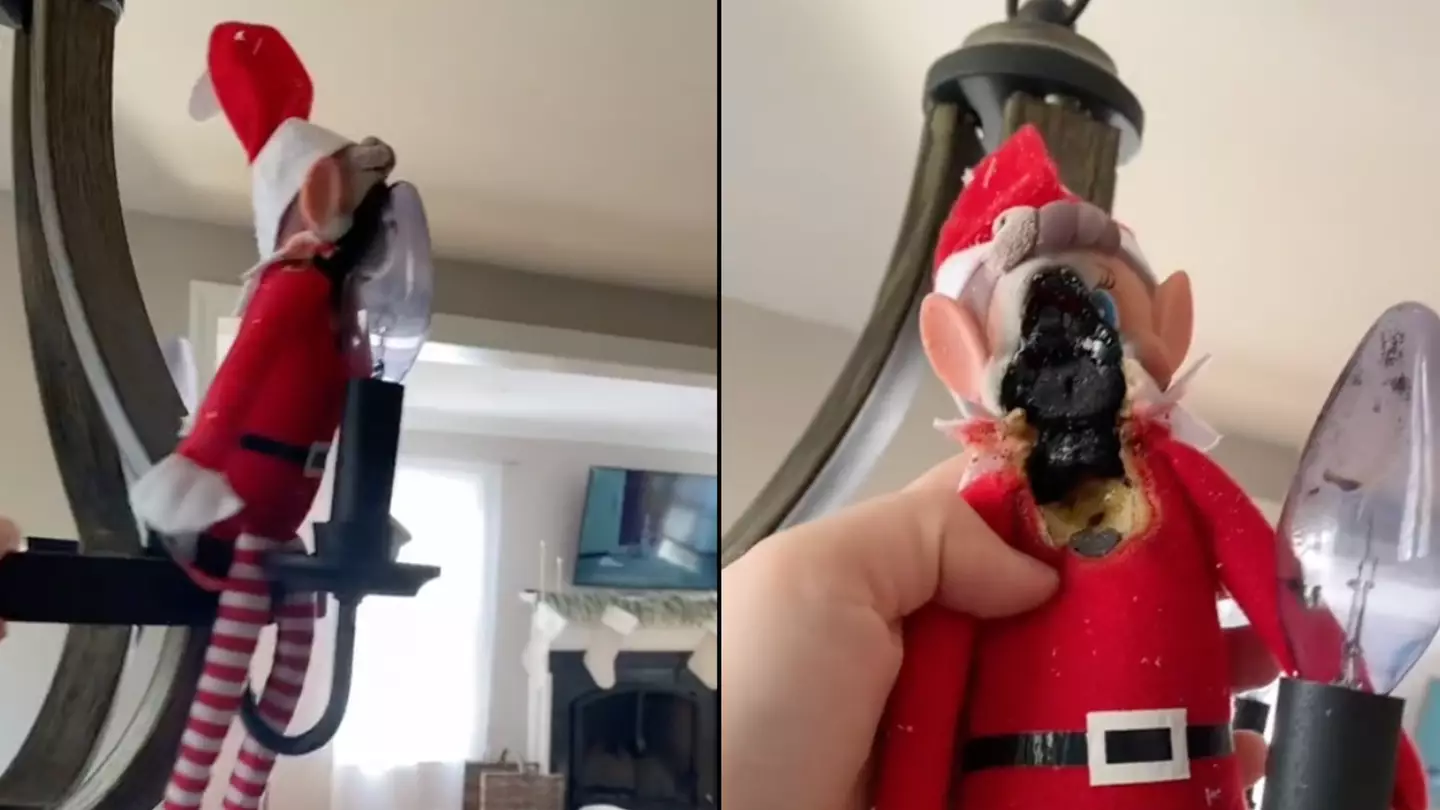 TikTok/maddieeeee311