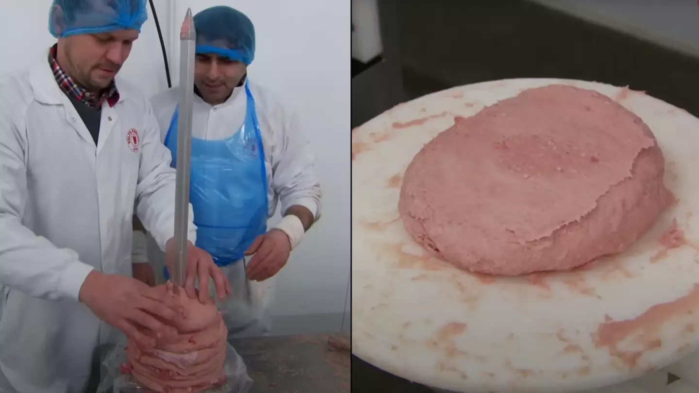 Investigation finds what doner kebab sold in takeaways is made from