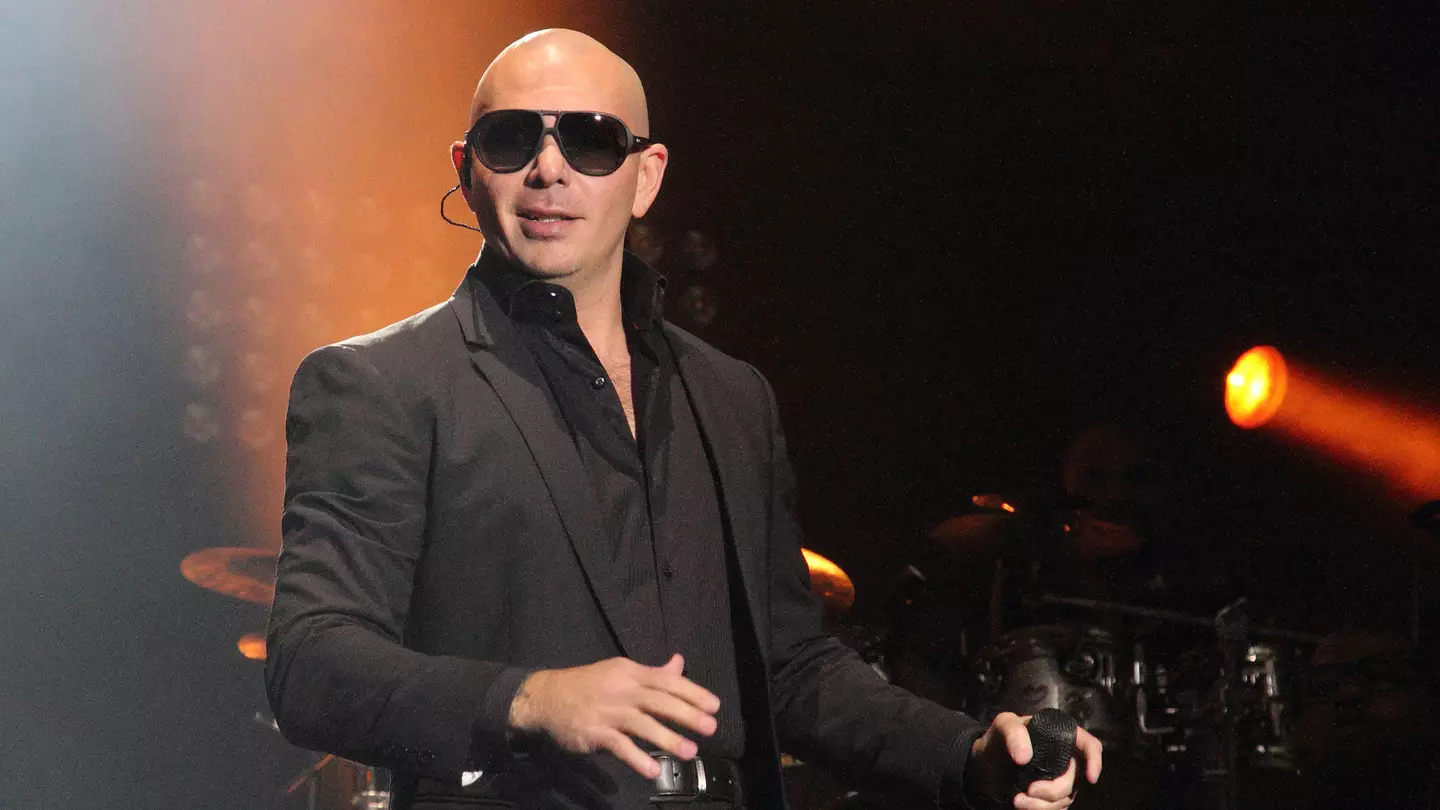 TikToker Adds Hair And Beard Onto Pitbull And The Result Is Incredible