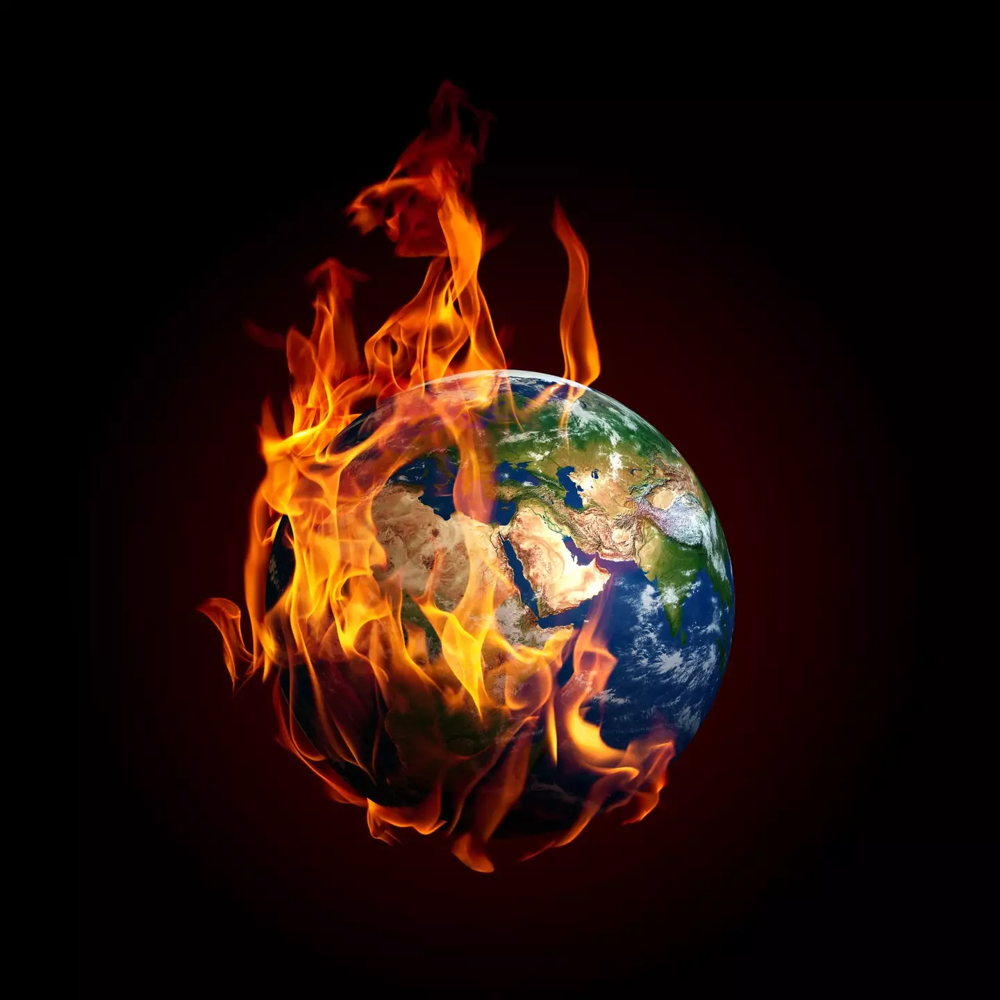It may be too late for one ecosystem (Getty Stock Images)