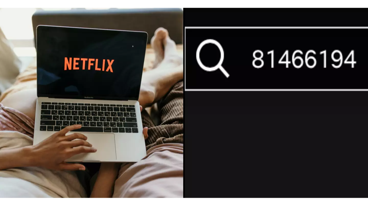 Netflix urges fans to search 81466194 code if you don't have much time