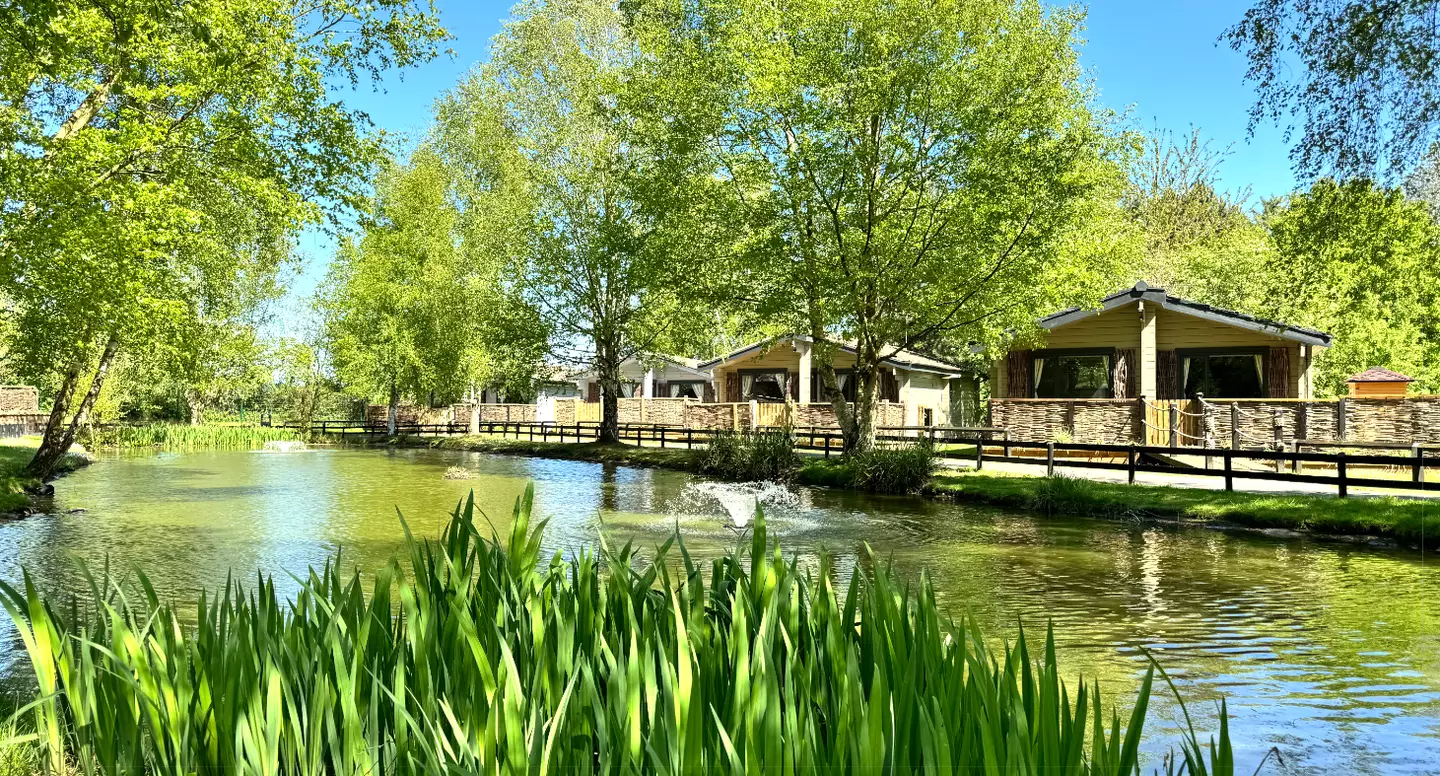 Sherwood Castle Retreat