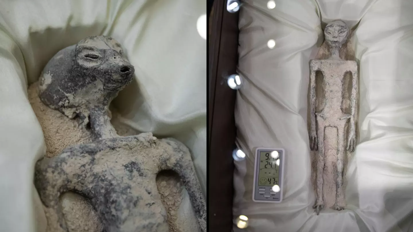 Expert who handled ‘alien corpses’ fears they’re something even more bizarre