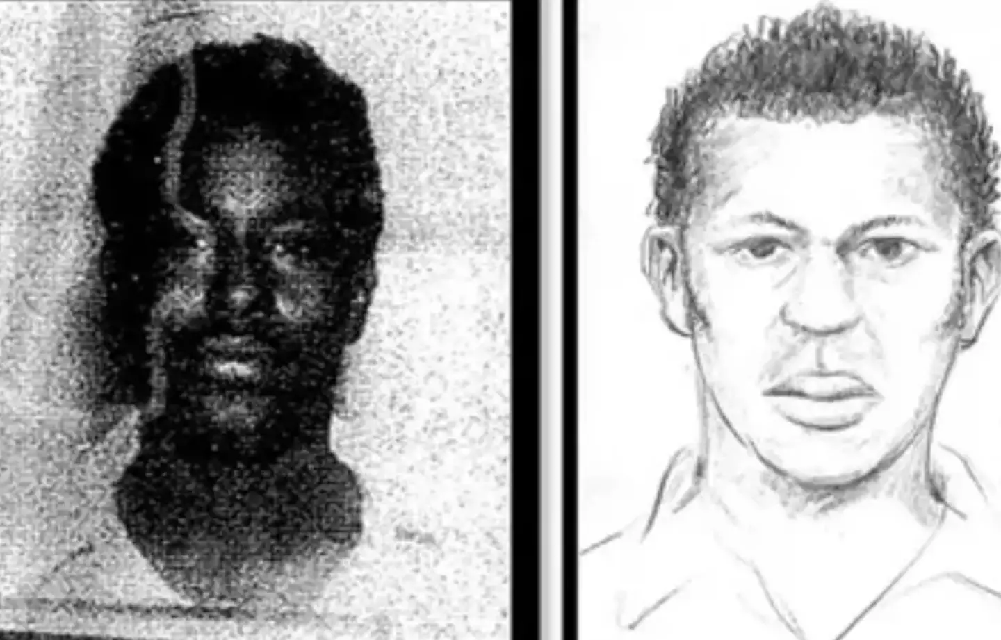 A 1977 photo of Sims alongside a sketch of the suspect (Santa Clara County District Attorney's Office/Handout)