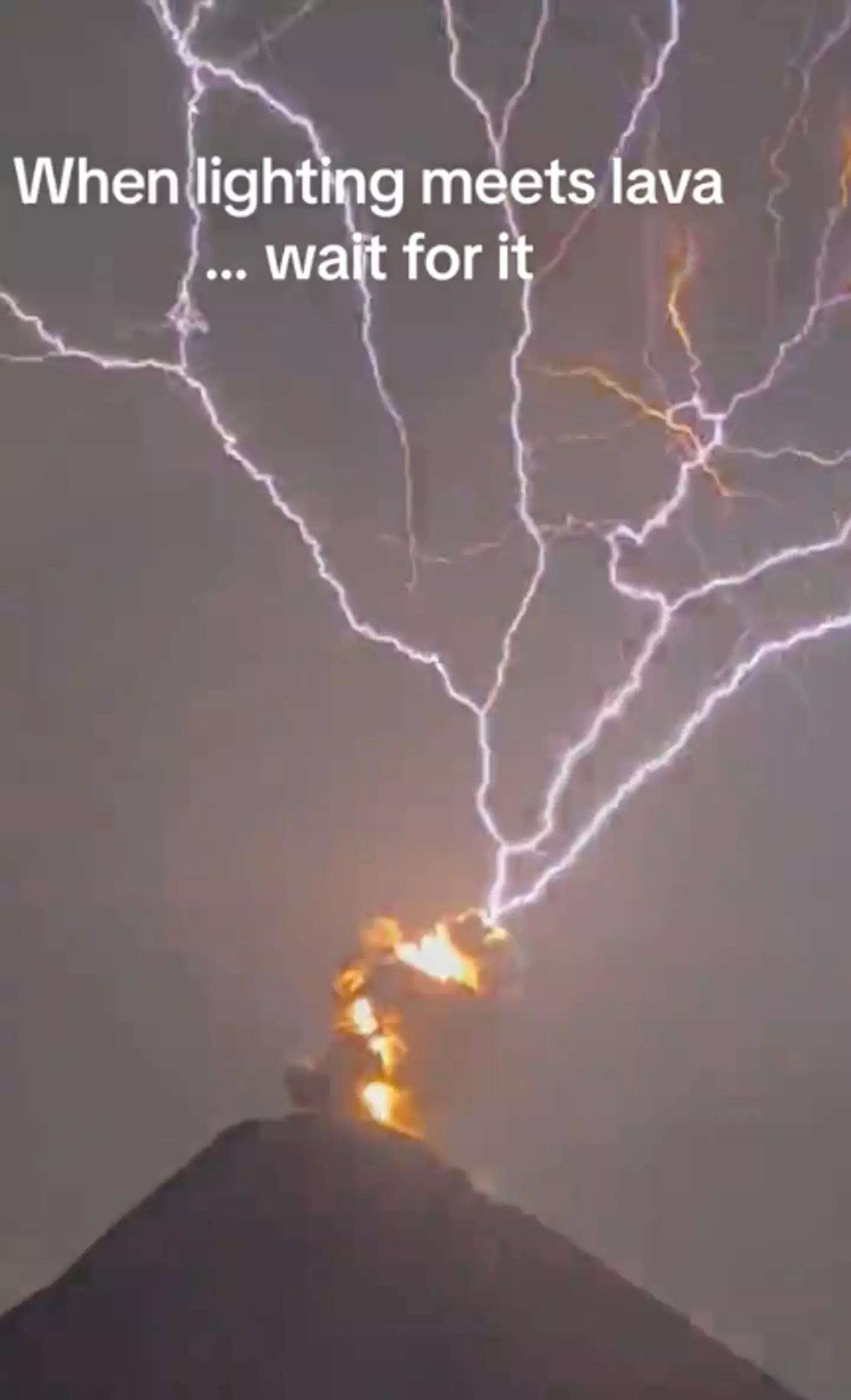 The video went viral on social media. (TikTok/@brown_watermelon)