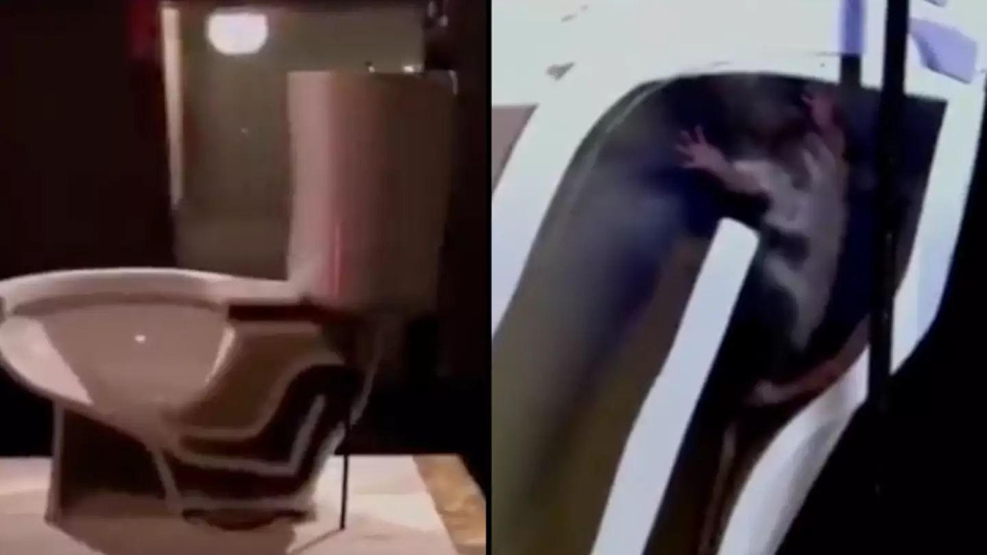 People are shocked after watching video showing how easy it is for a rat to climb through your toilet