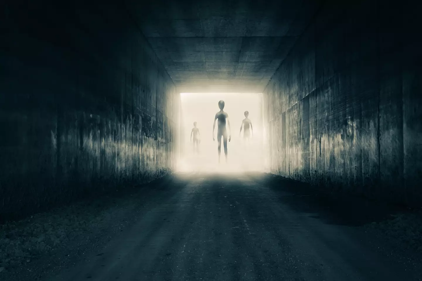 According to Baba Vanga, 2025 is the year that humans will learn more about alien life (Getty Stock Image)