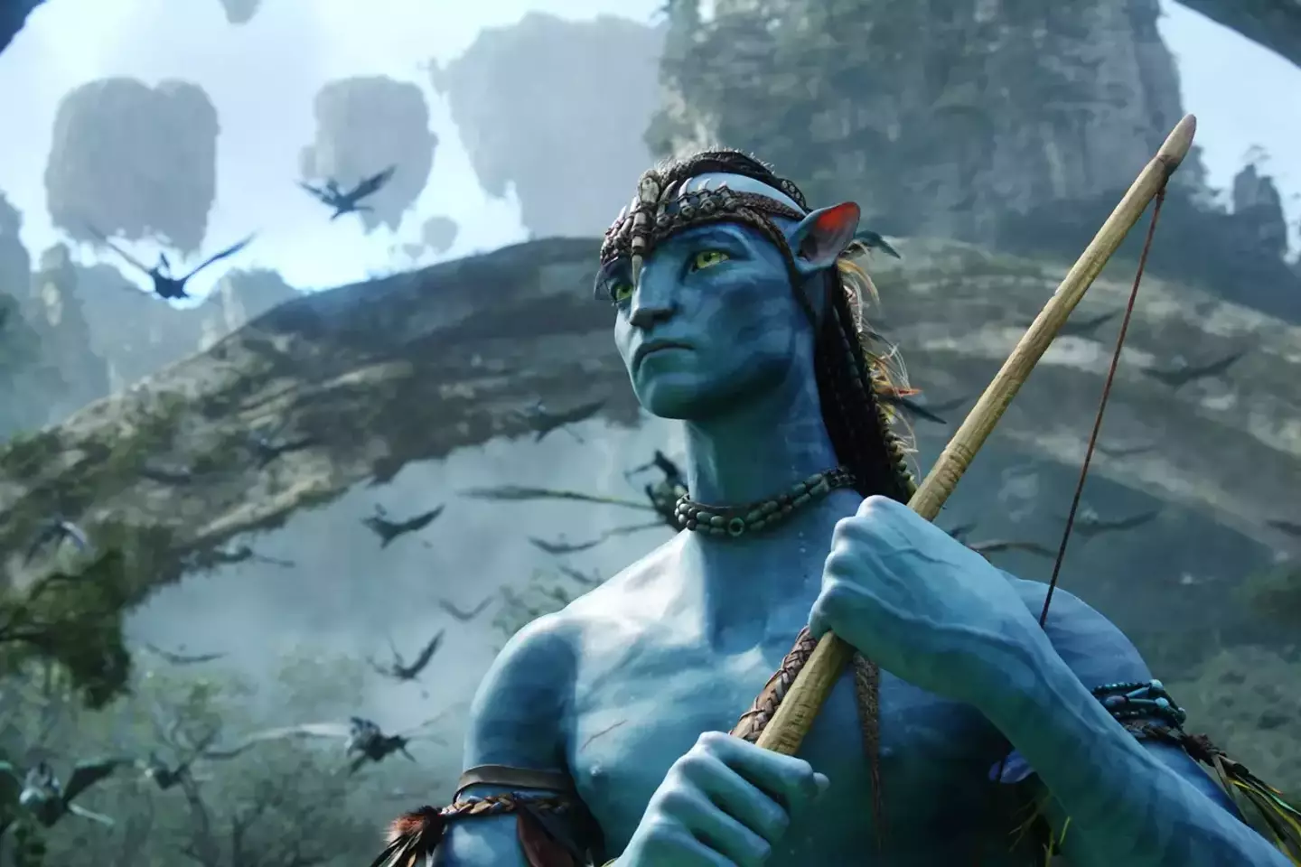 Avatar went on to gross over $2 billion at the box office.