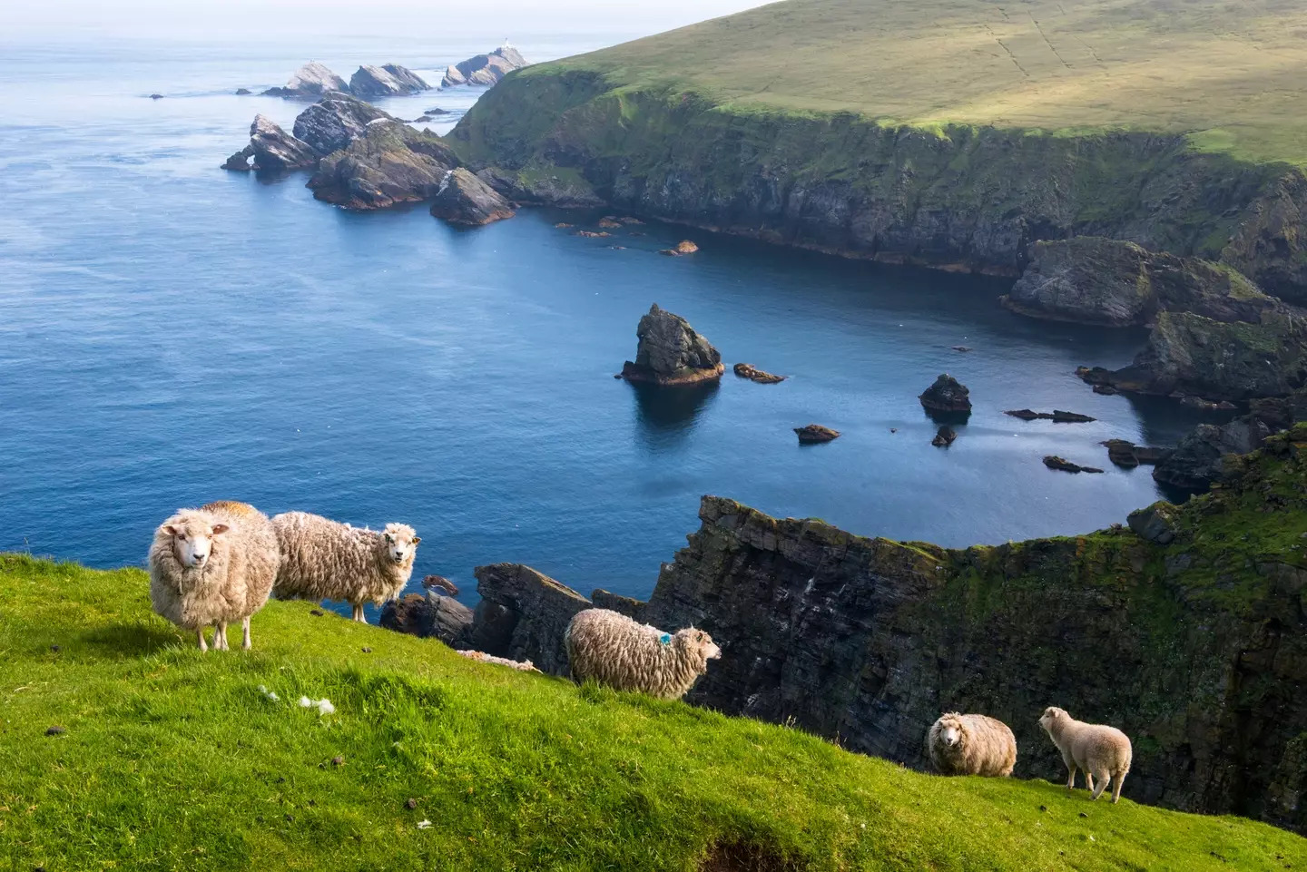 The Shetland Islands in Scotland are a good shout. (Getty stock image)
