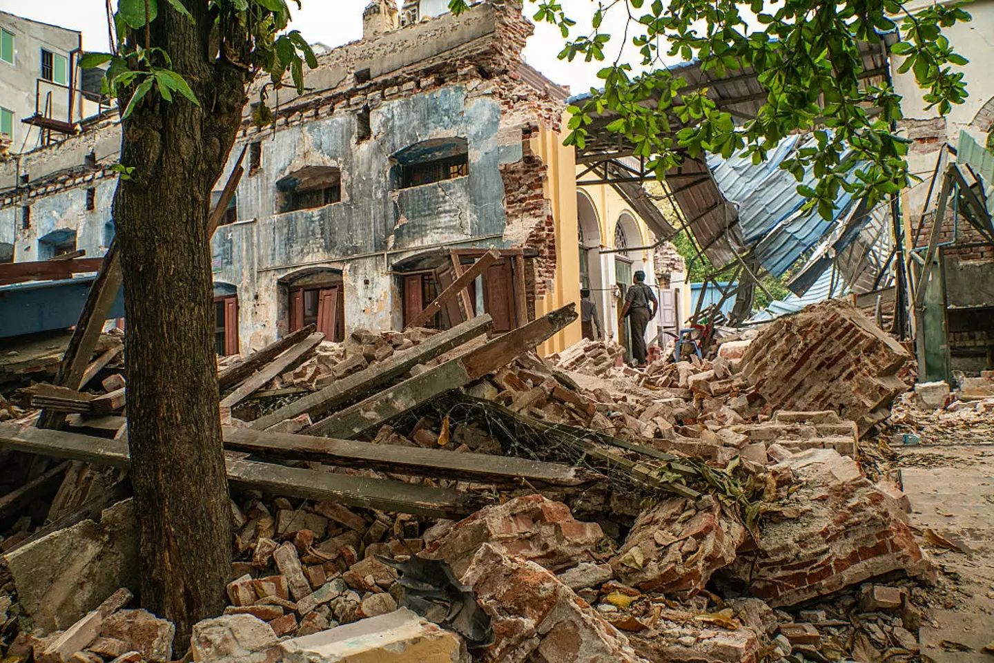 Many have linked Vanga's predictions to March's devastating earthquakes in Thailand Myanmar (Magdalena Chodownik/Anadolu via Getty Images)