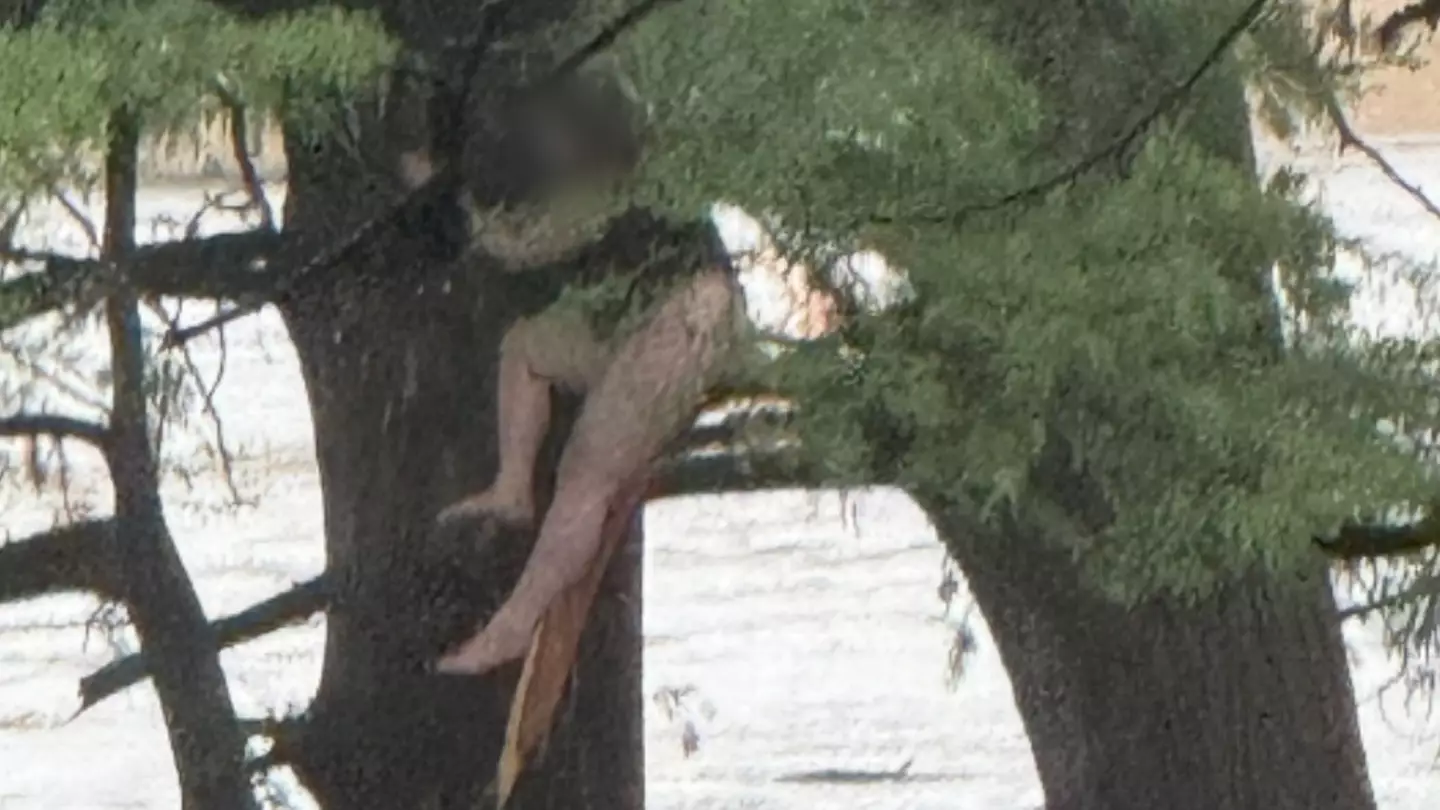 Incredible photo shows woman hanging on to tree before being rescued from freak flood that killed 27