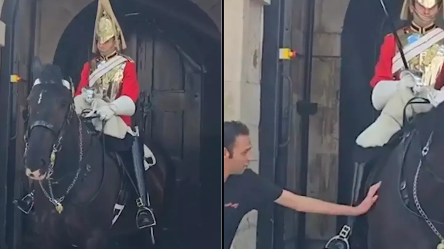 Incredible moment King’s Guard breaks royal protocol for man to touch horse