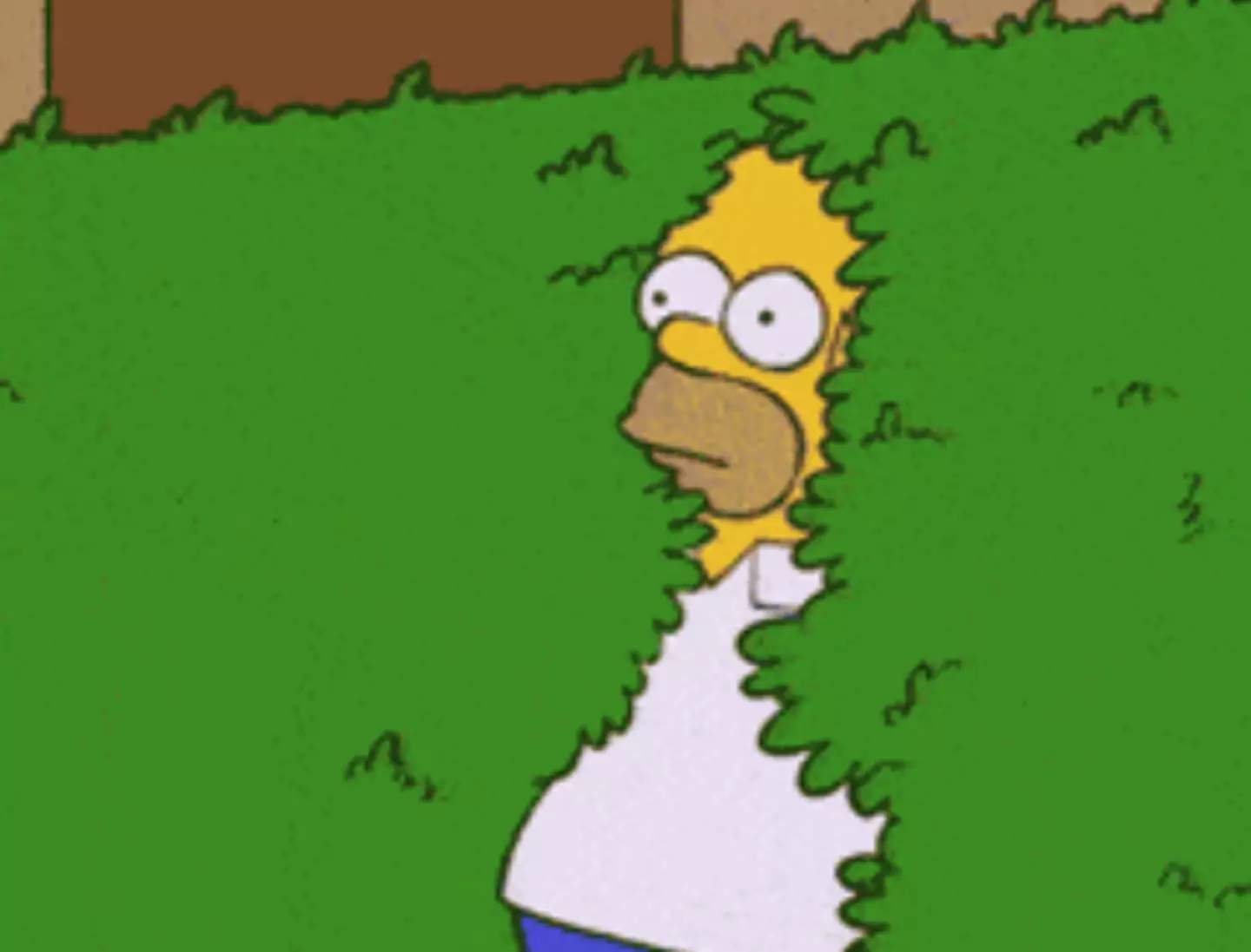We've all seen this GIF on our timelines.