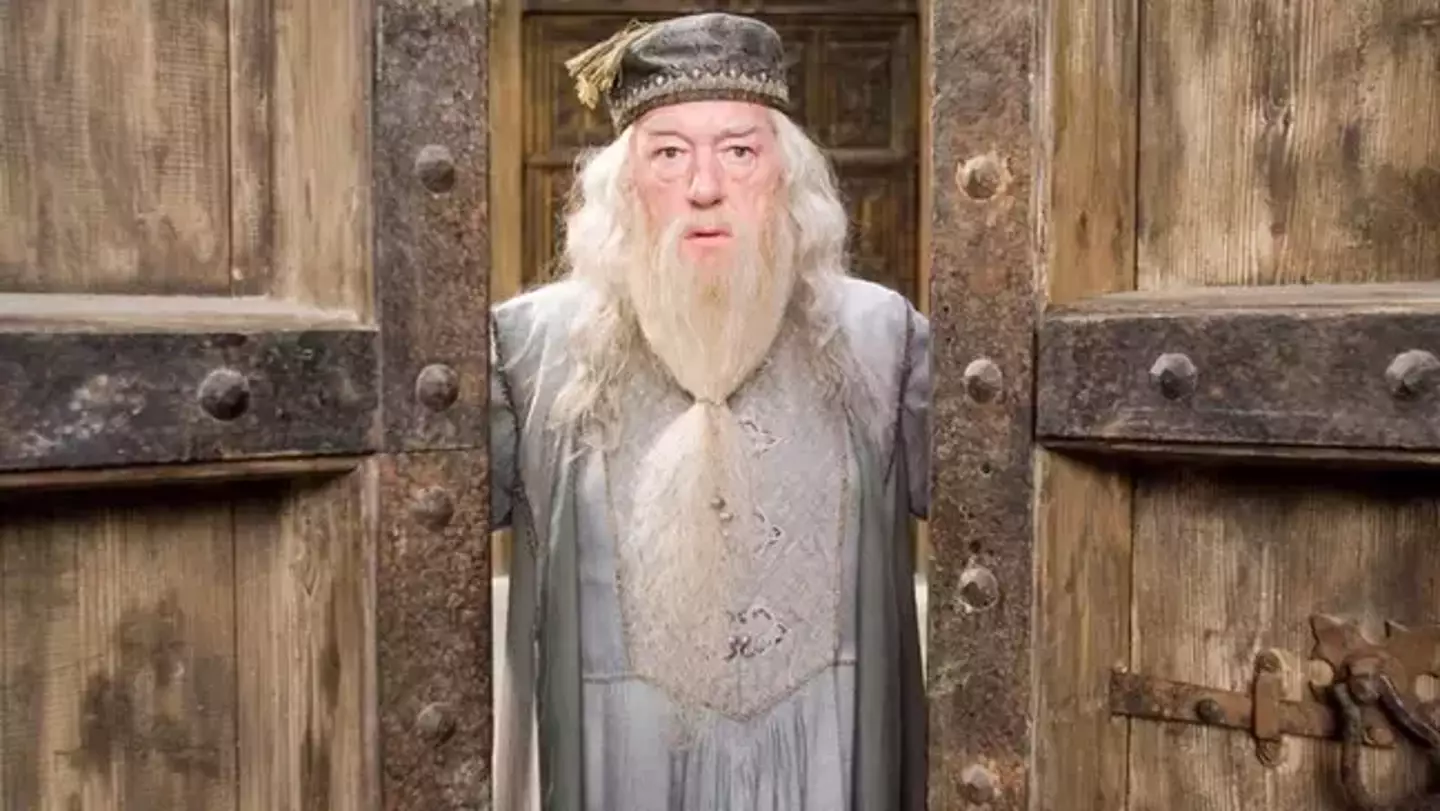 Michael Gambon as Professor Dumbledore in the Harry Potter films.