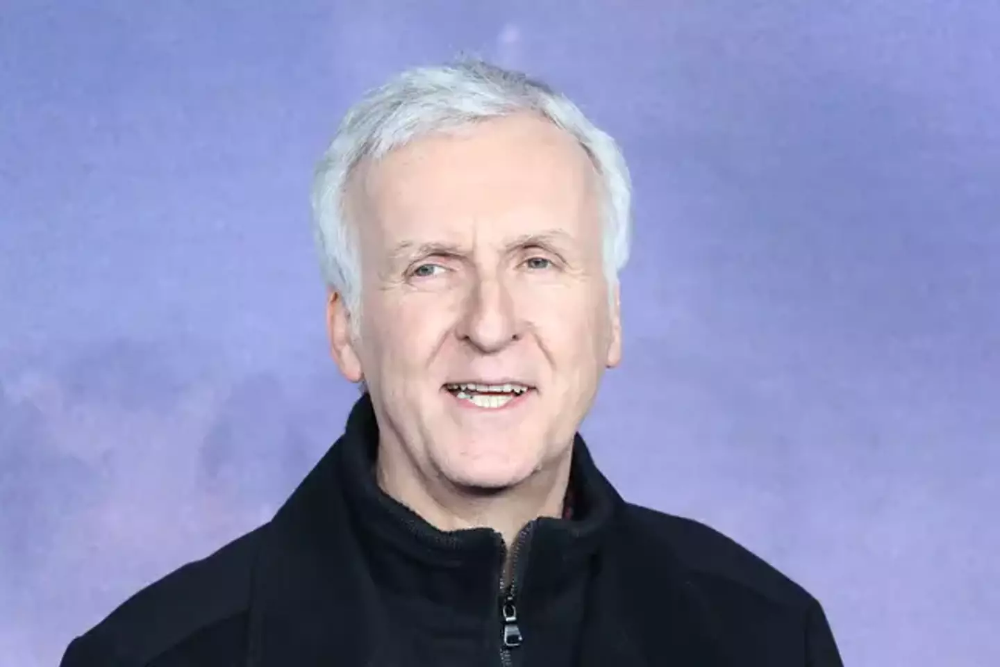 James Cameron is well aware the movie needs to make a lot of money.
