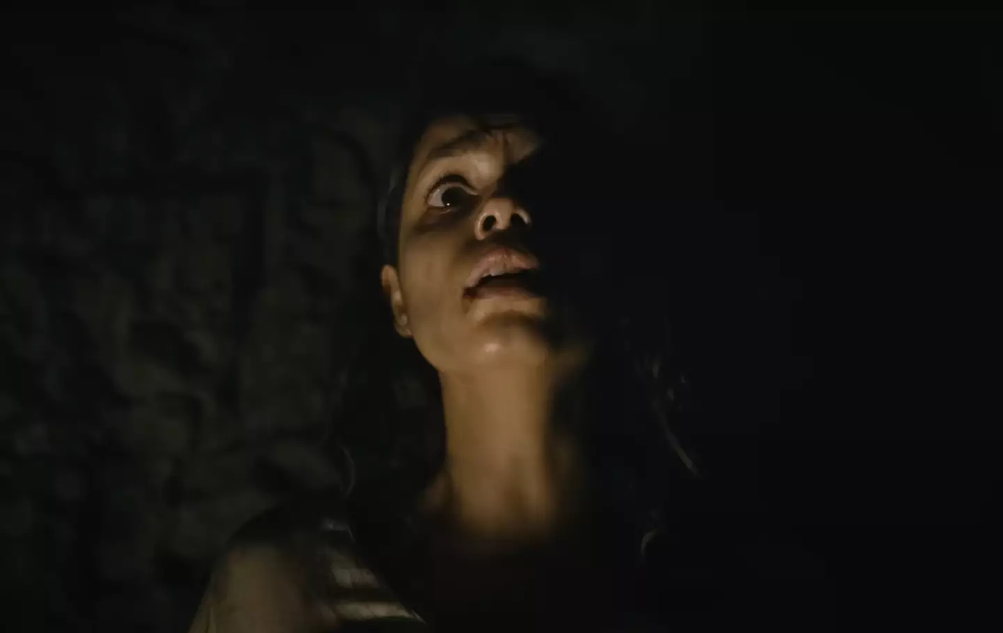 The film is available to watch on Netflix now in the UK and US (20th Century Studios)