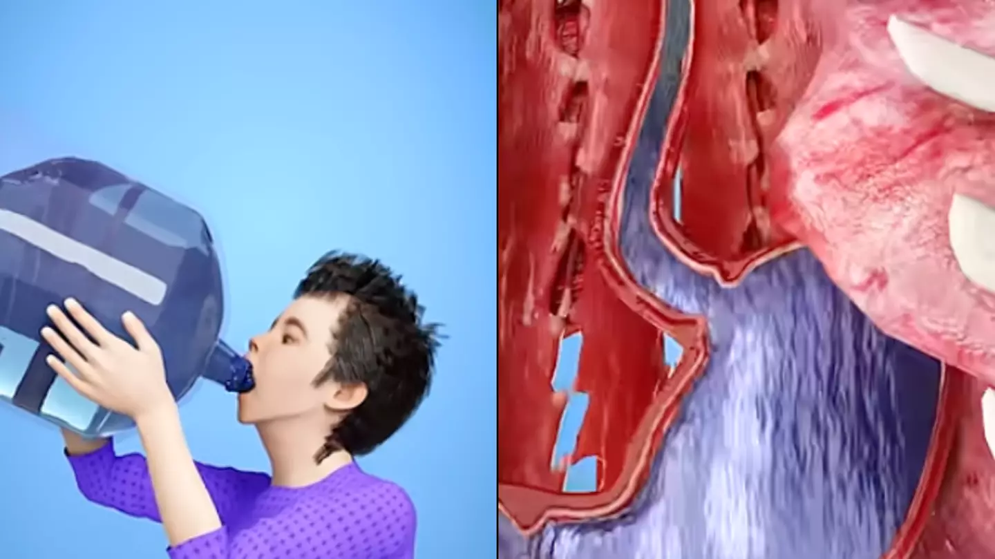 YouTube / @zackdfilms