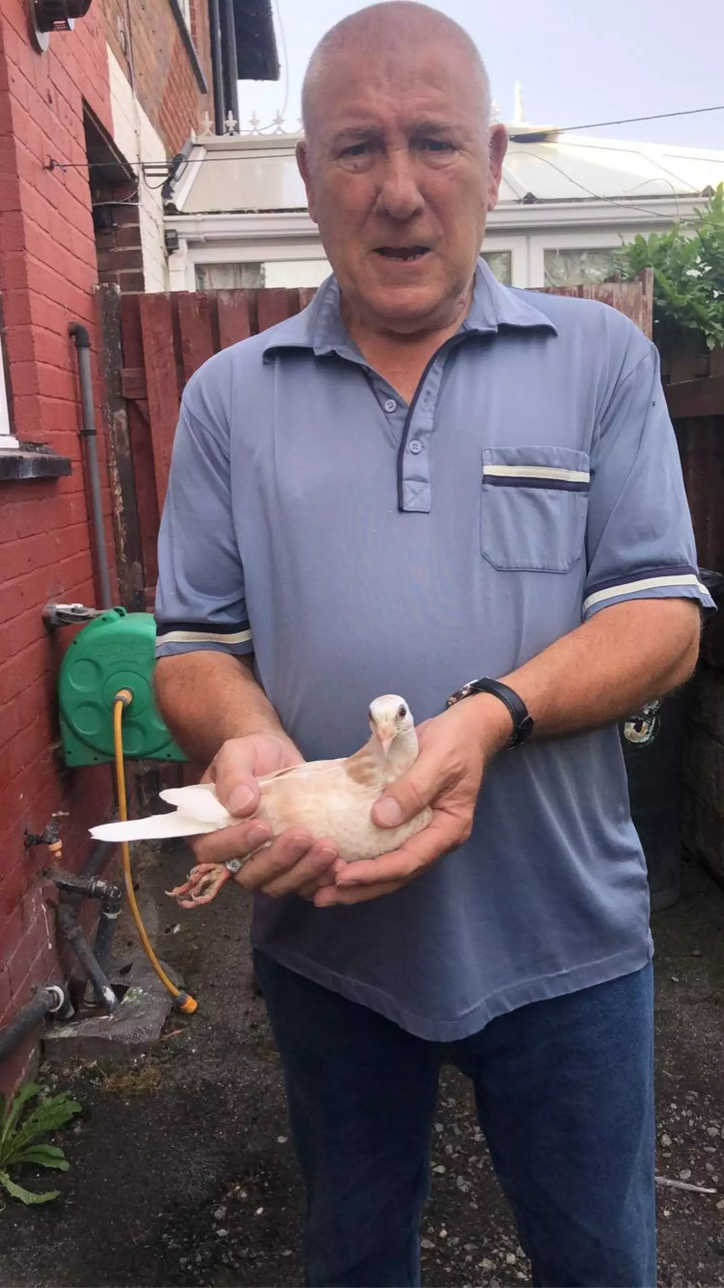 Mick with one of his previous prize-winning birds.