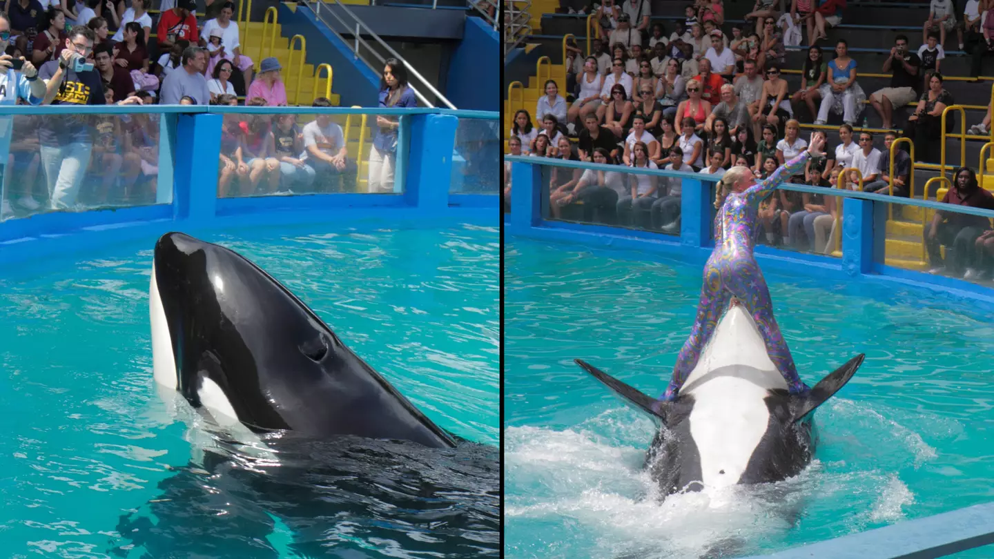 Jeff Greenberg/Universal Images Group via Getty Images