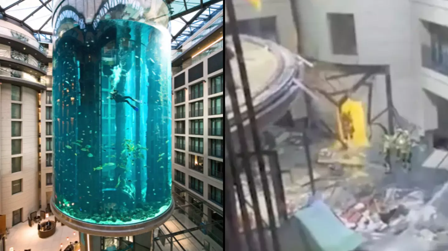 Hotel guest describes terrifying moment mega fish tank burst open inside lobby
