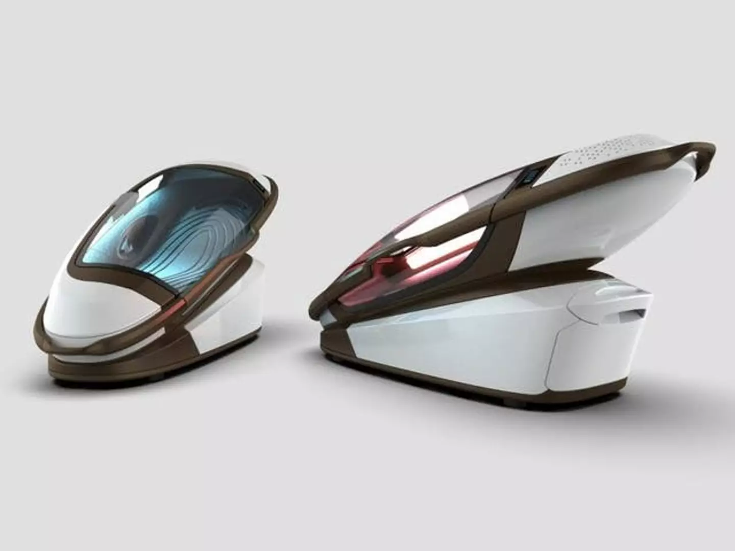 The Sarco 'suicide' Pod. (Exit International)