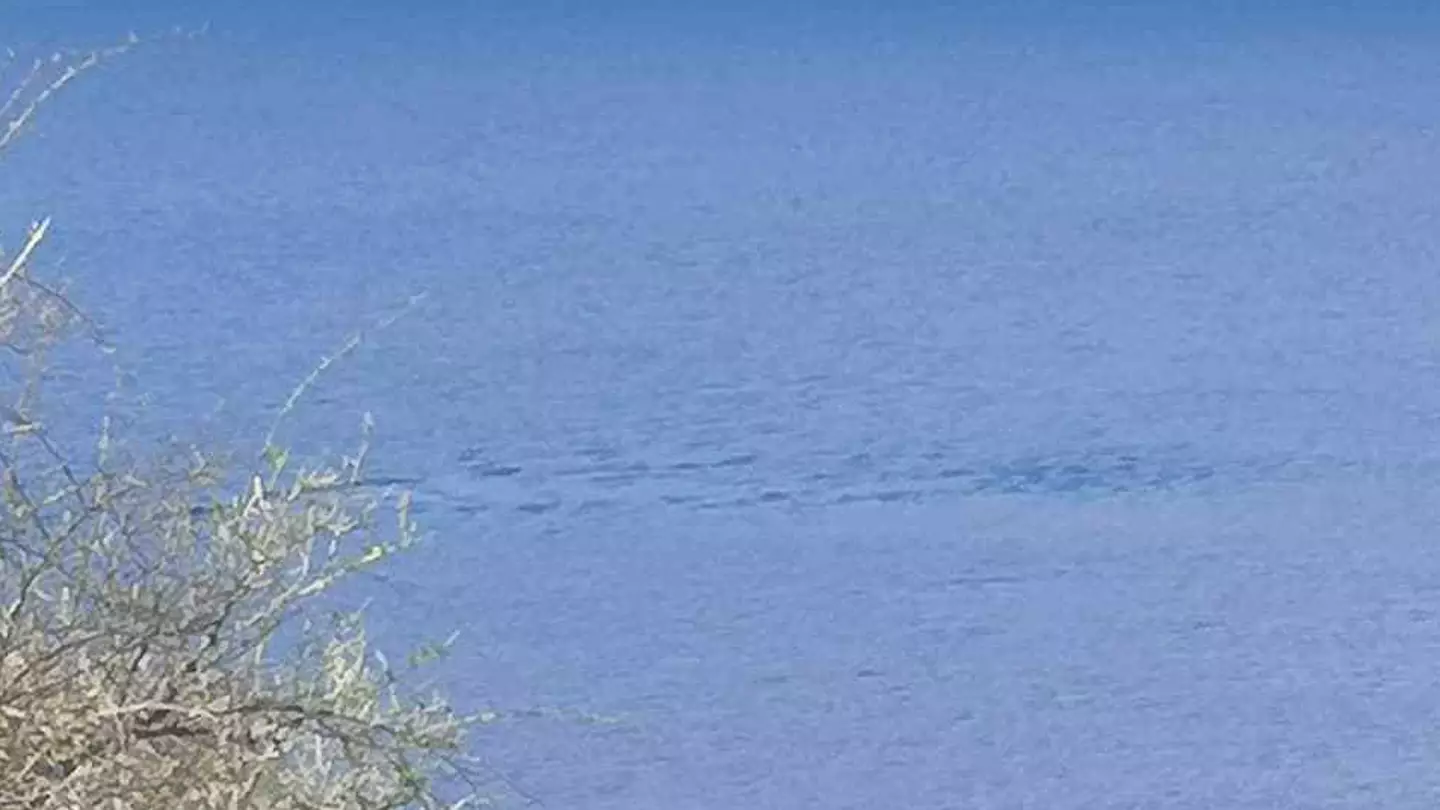 Loch Ness Monster Hunting Pals Think They Spotted Mythical Beast