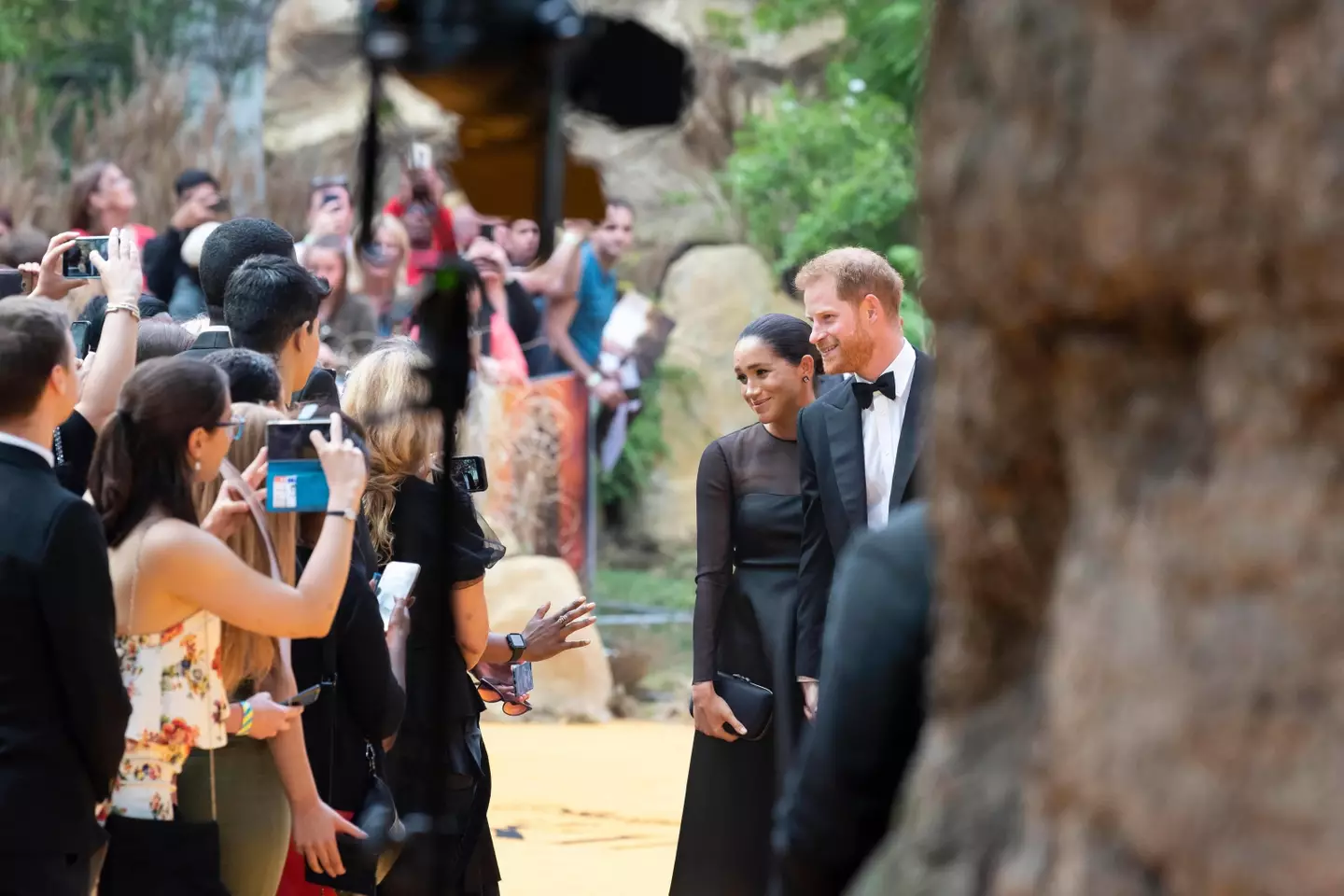 Markle and Prince Harry at the Lion King premiere.