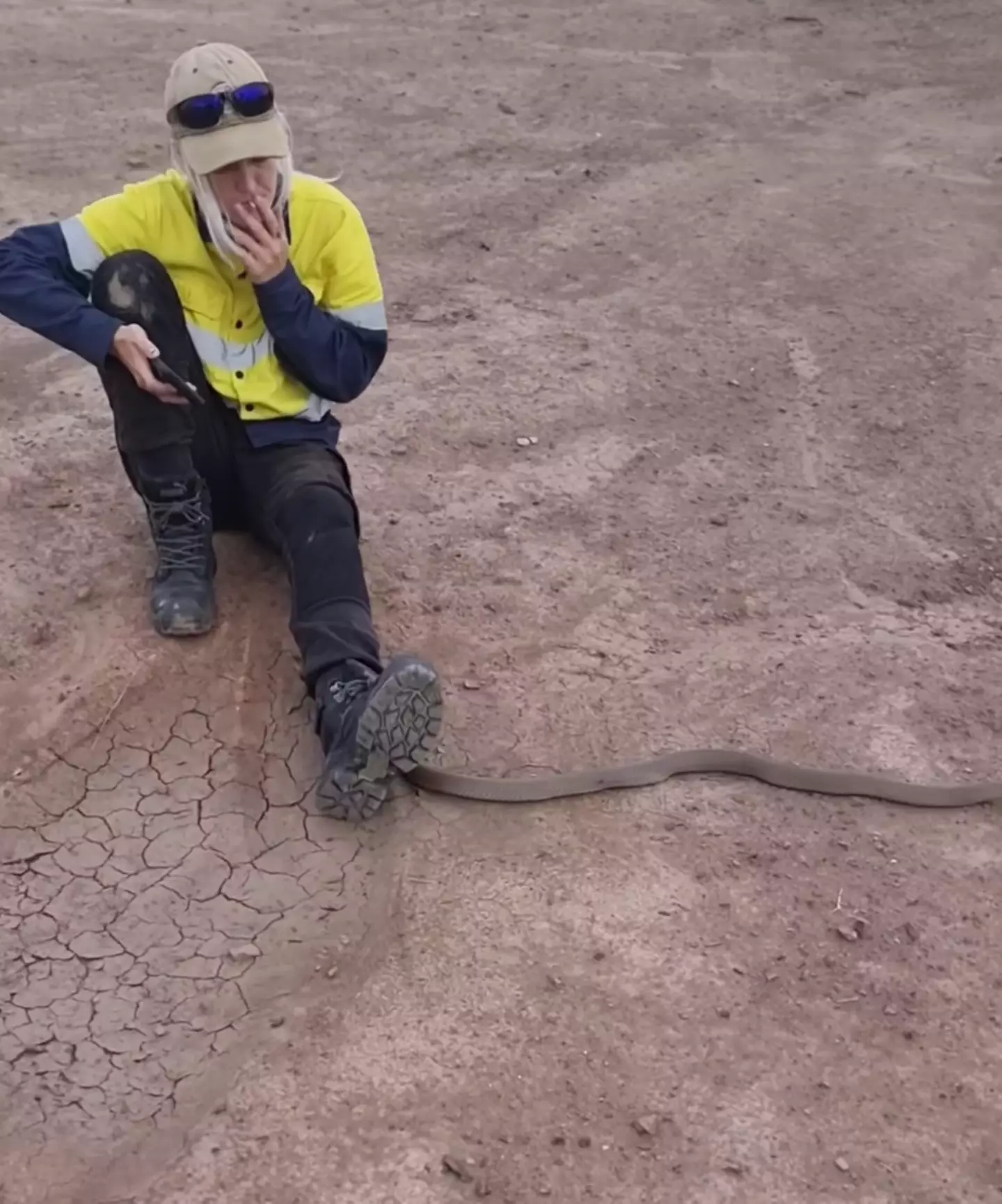 The snake had just been removed from someone's home.