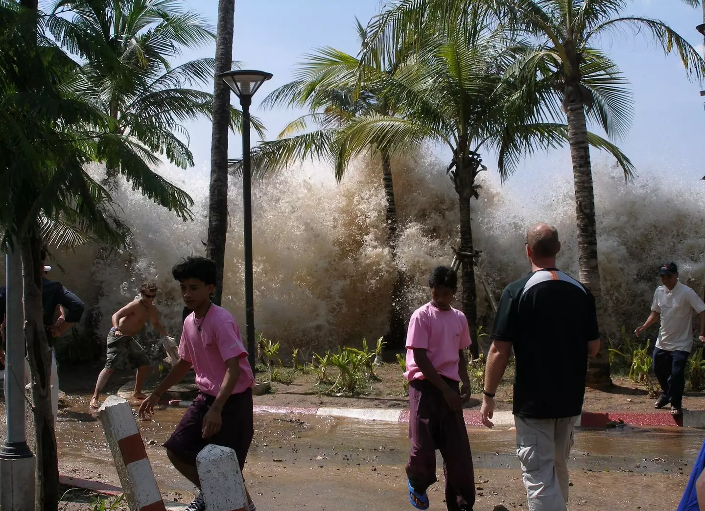 It's been 21 years since the Boxing Day Indian Ocean tsunami claimed the lives of over 228,000 people (Creative Commons)