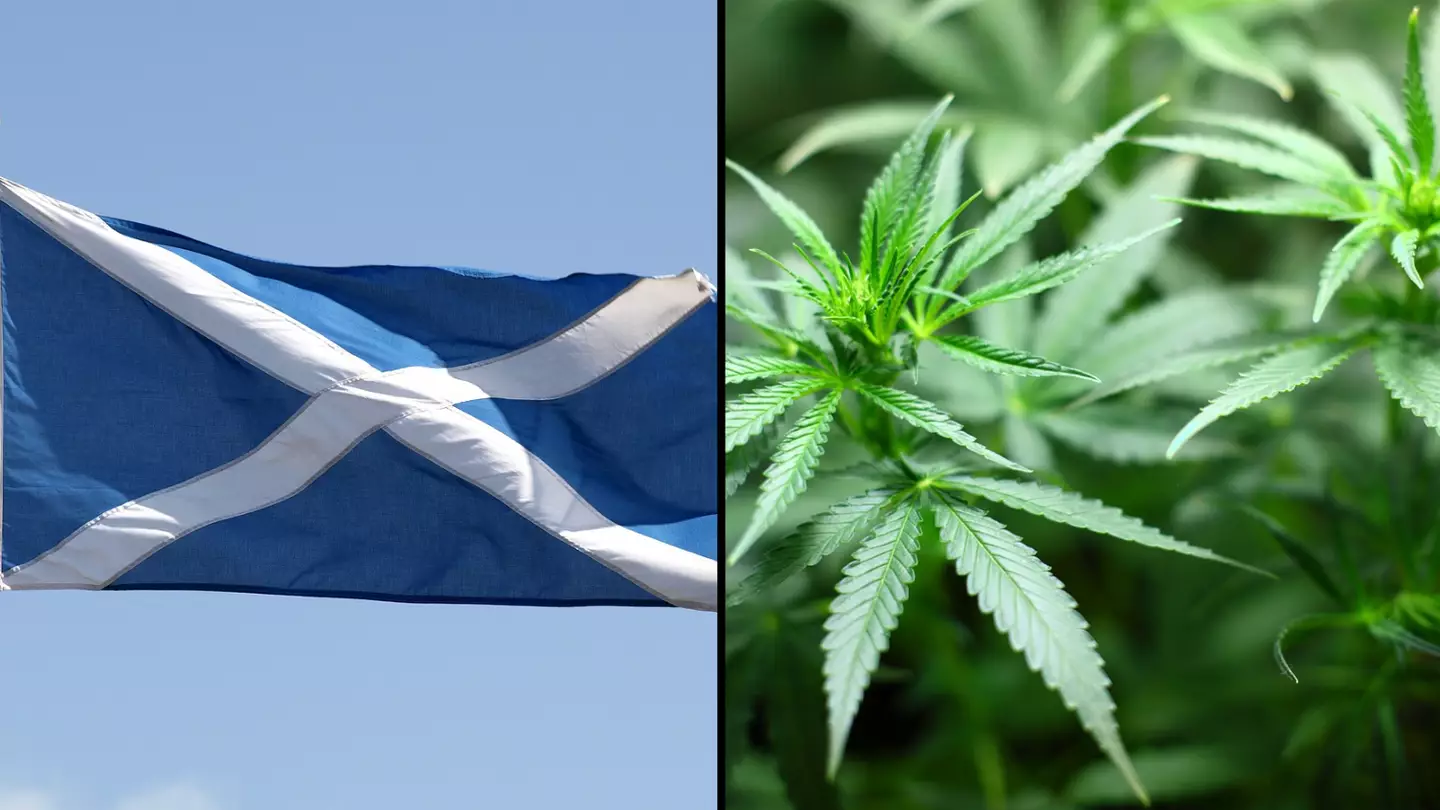 Scotland calls on UK government to make drug possession for personal use legal