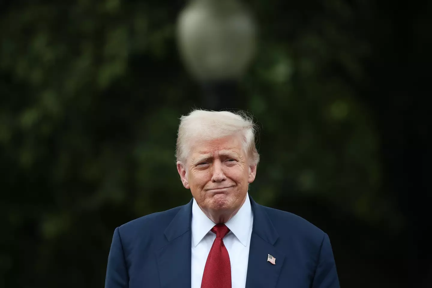 Trump is considering reclassifying marijuana in the US (Win McNamee/Getty Images)