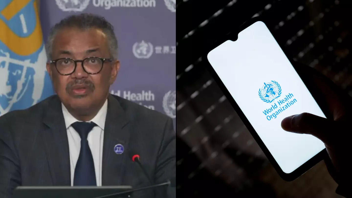 The World Health Organisation declares mpox outbreak a global emergency as new form of virus spreads