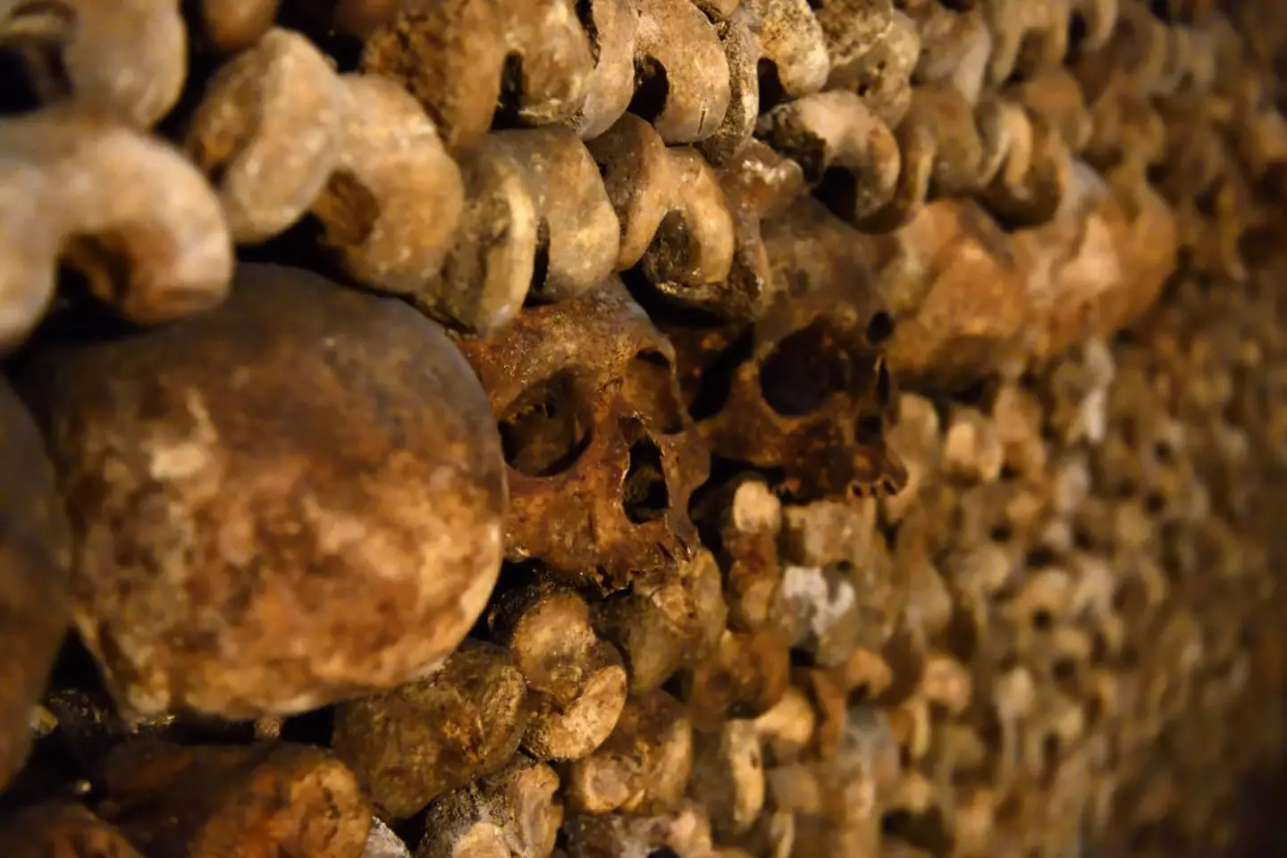 The catacombs in Paris aren't for the faint of hearted.