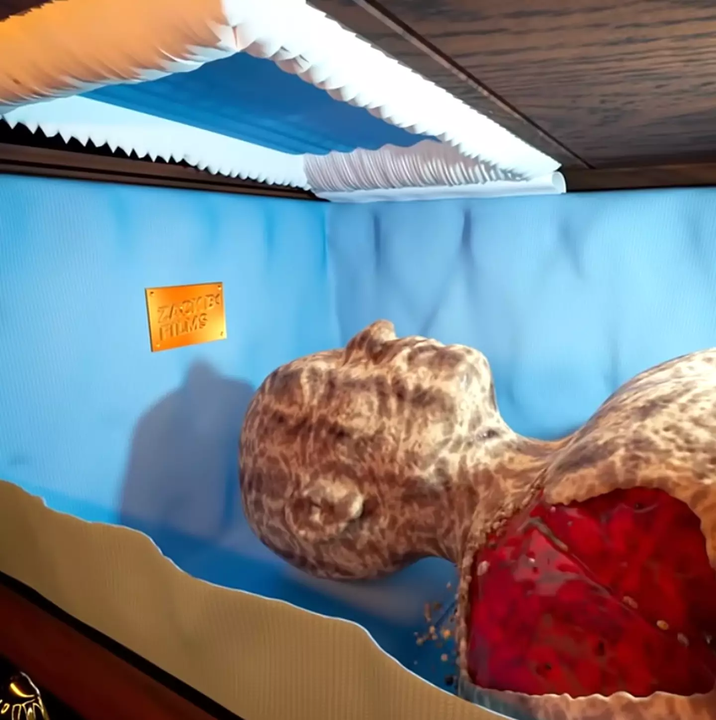 Your skin starts to fall off (YouTube/@zackdfilms)