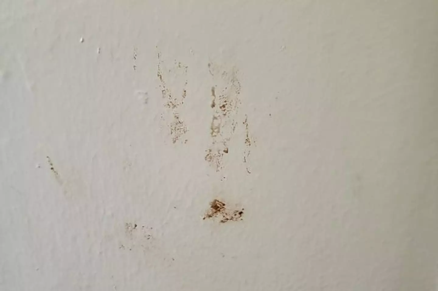 Katarzyna also claimed there was fresh blood on the walls of their chalet.